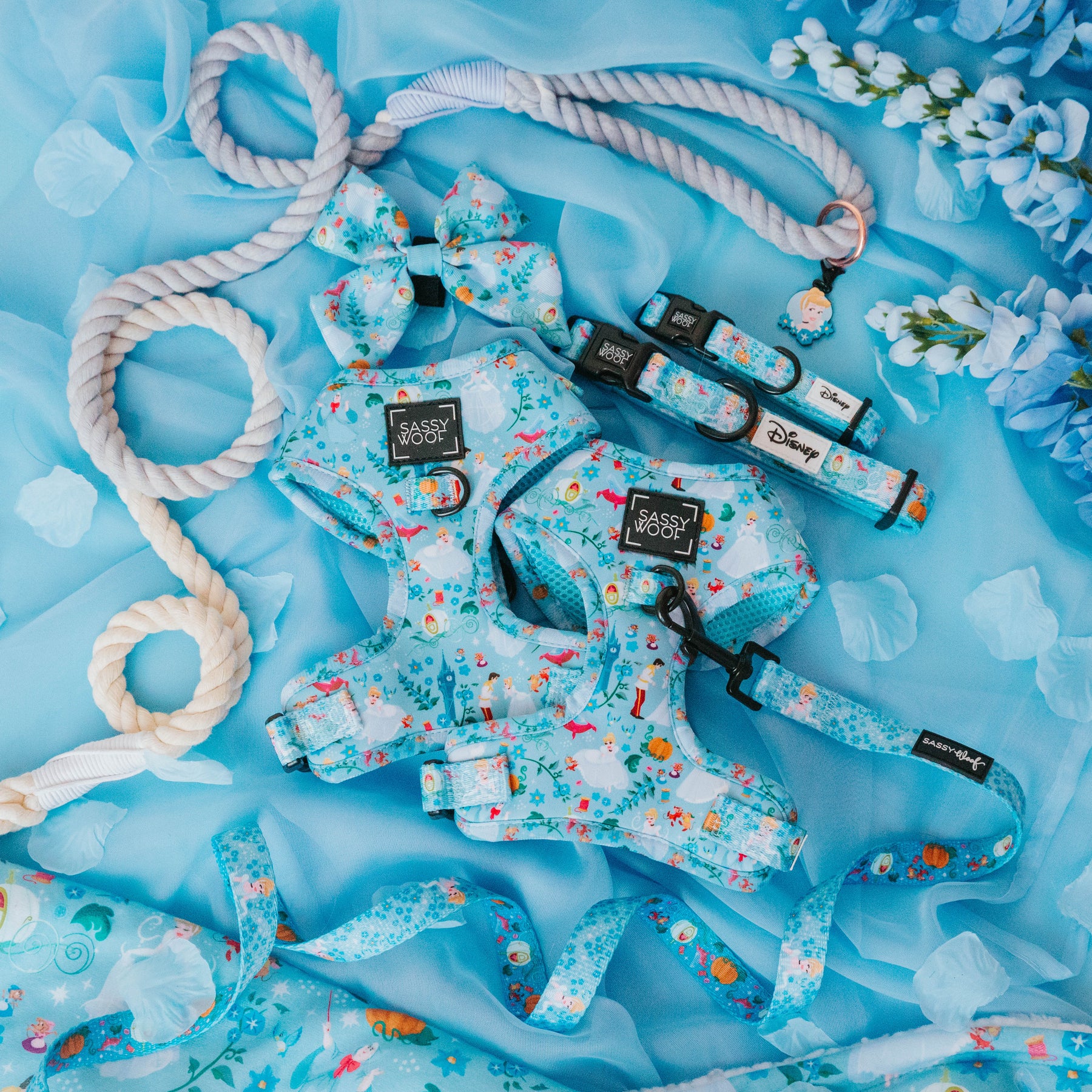 Harness Three Piece Bundle - Disney's Cinderella