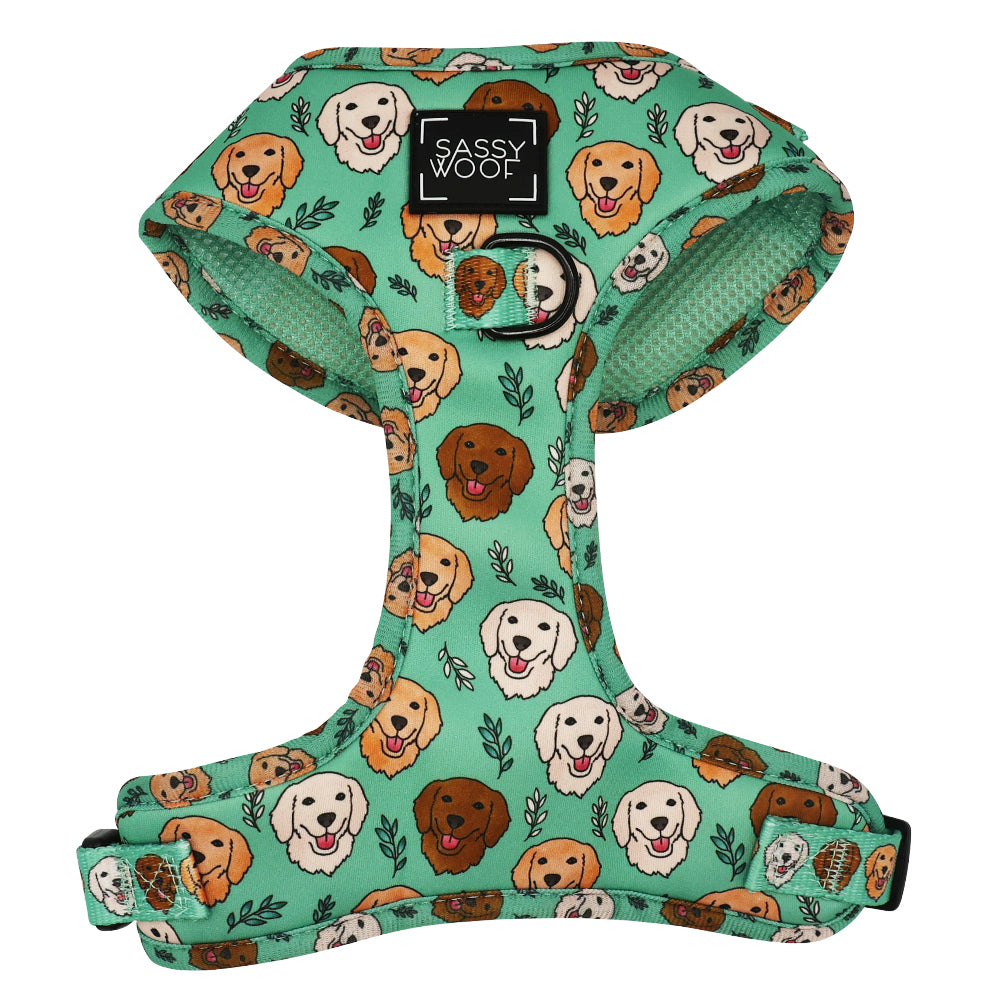 Dog Two Piece Bundle - Glam Goldens