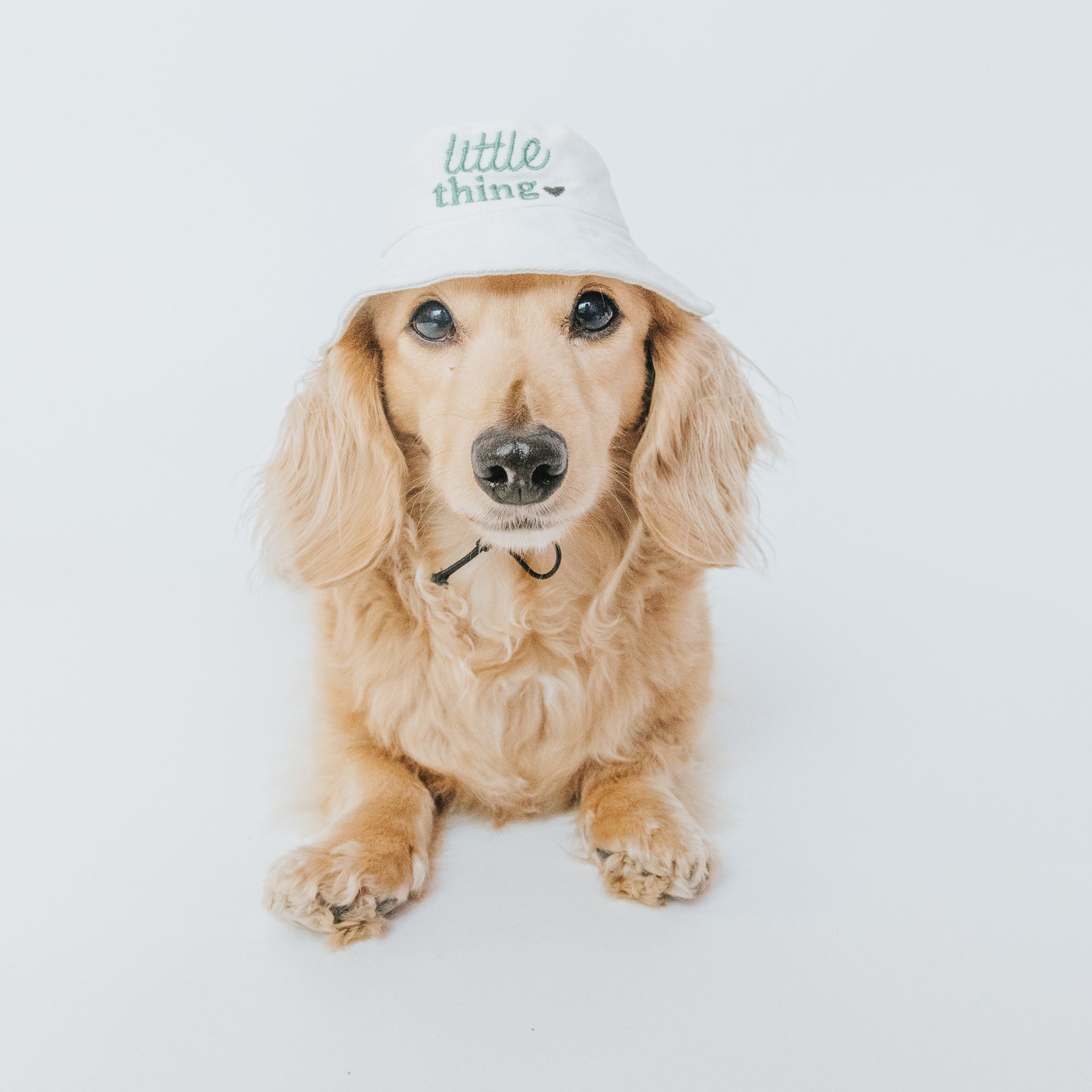 Bucket Hat Bundle - Little Thing