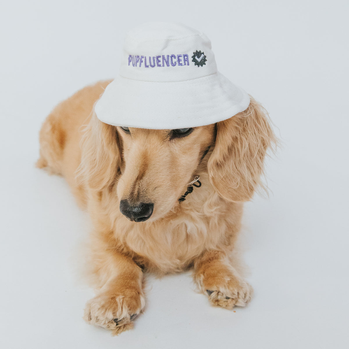 Dog Bucket Hat - Pupfluencer