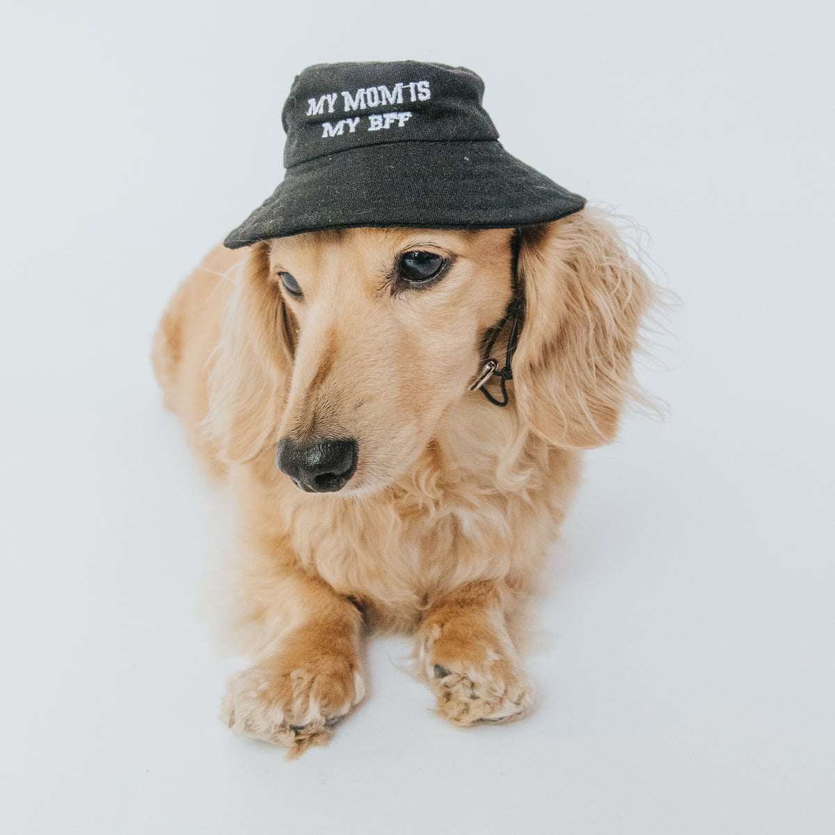 Dog Bucket Hat - My Mom is my BFF