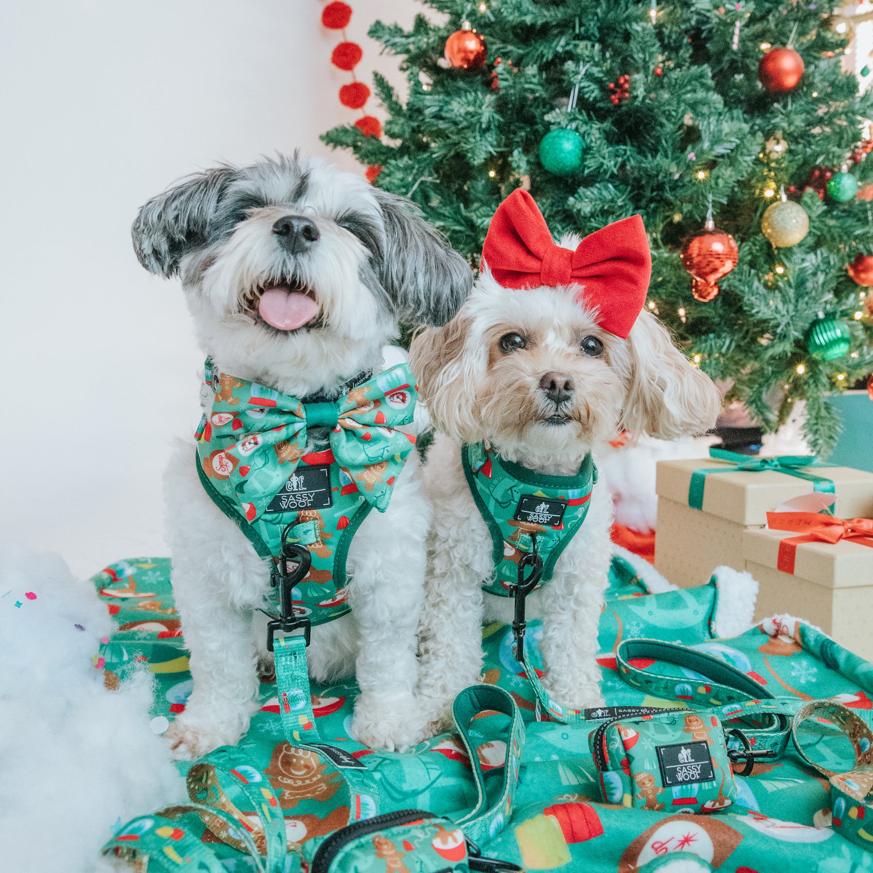 Dog Two Piece Bundle -  Elf™