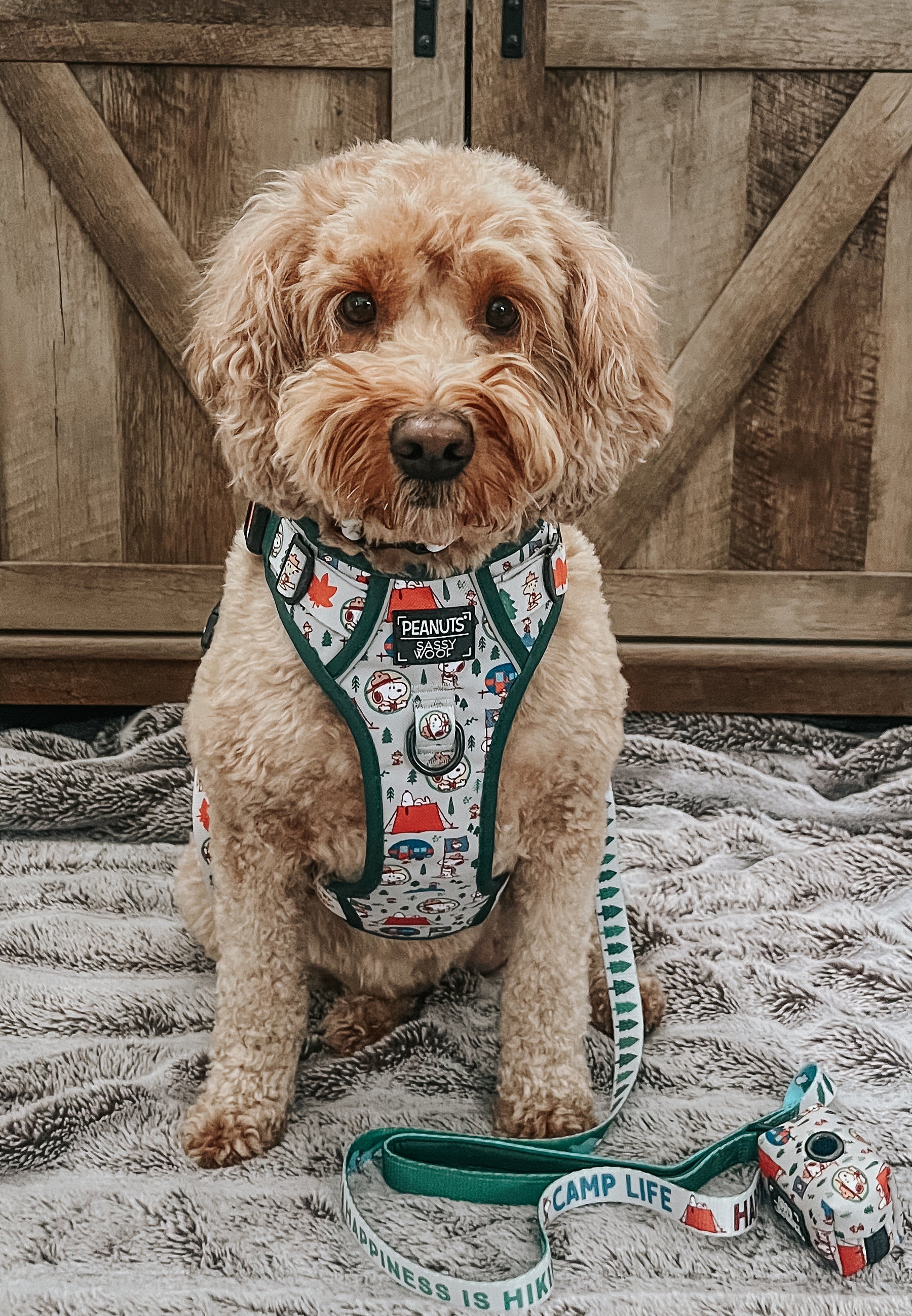 INFLUENCER_CONTENT | @FRANKIE_DOODLE_GIRL | SIZE L