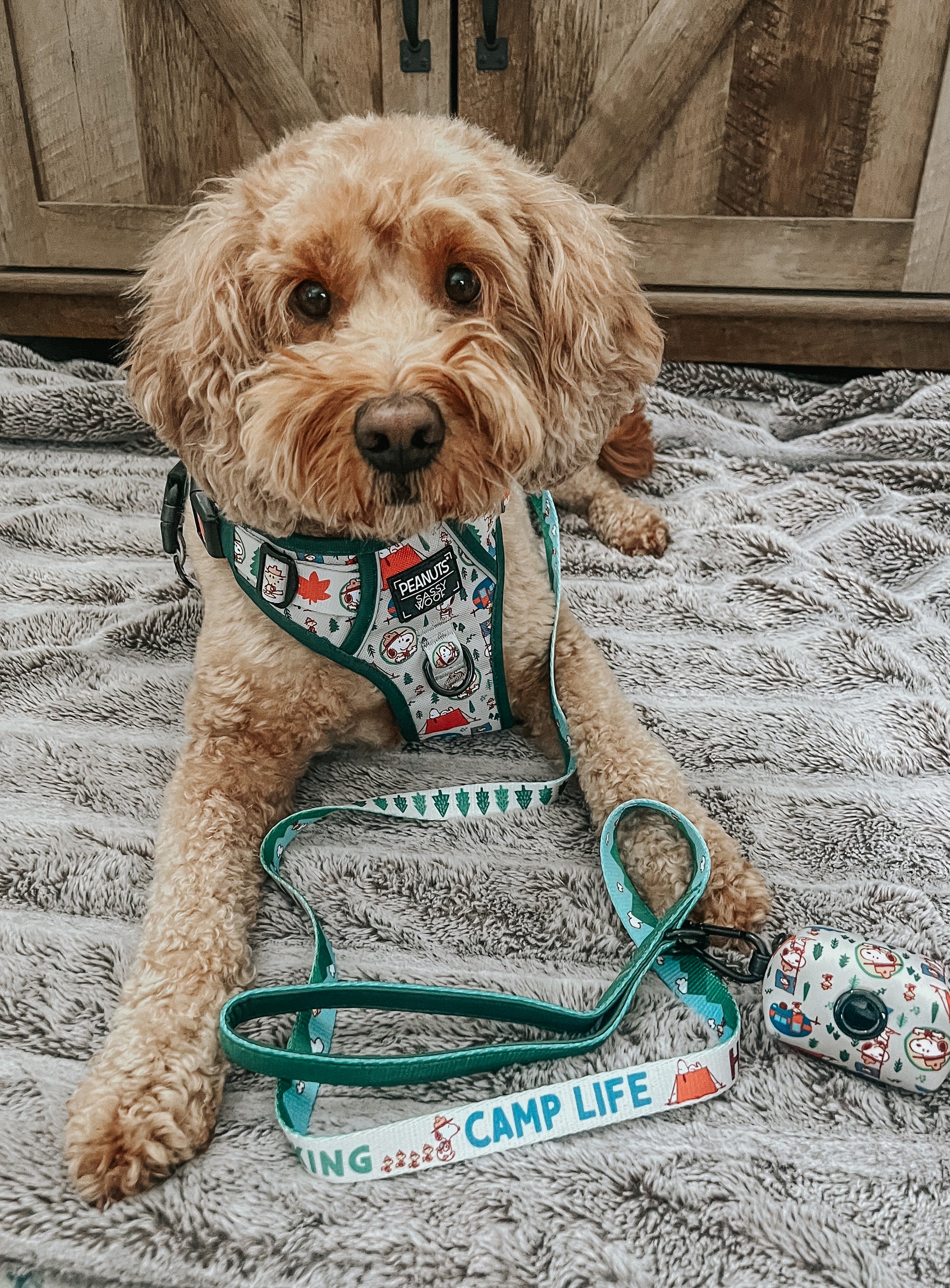 INFLUENCER_CONTENT | @FRANKIE_DOODLE_GIRL