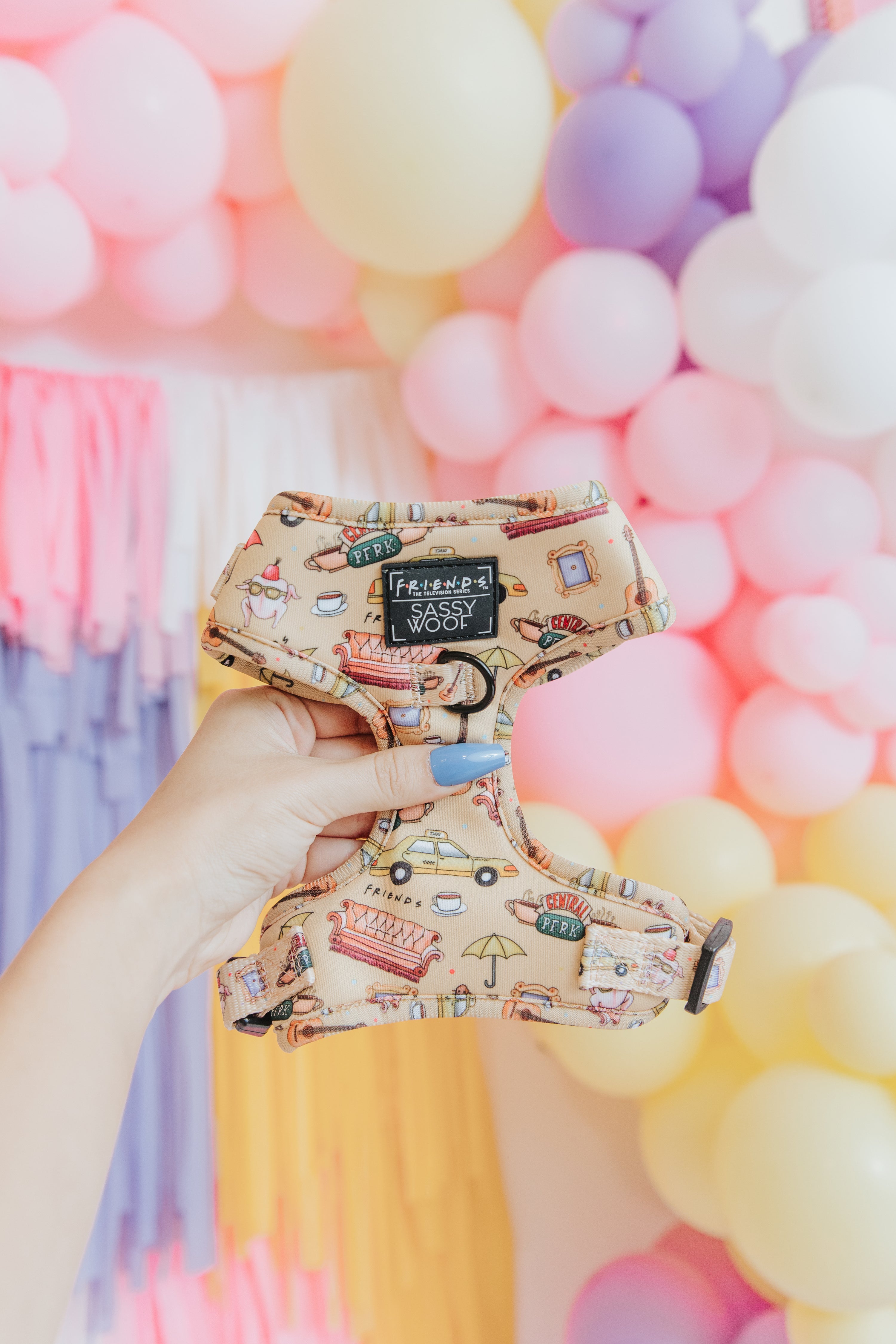 Dog harness with travel-themed design held in front of colorful balloons
