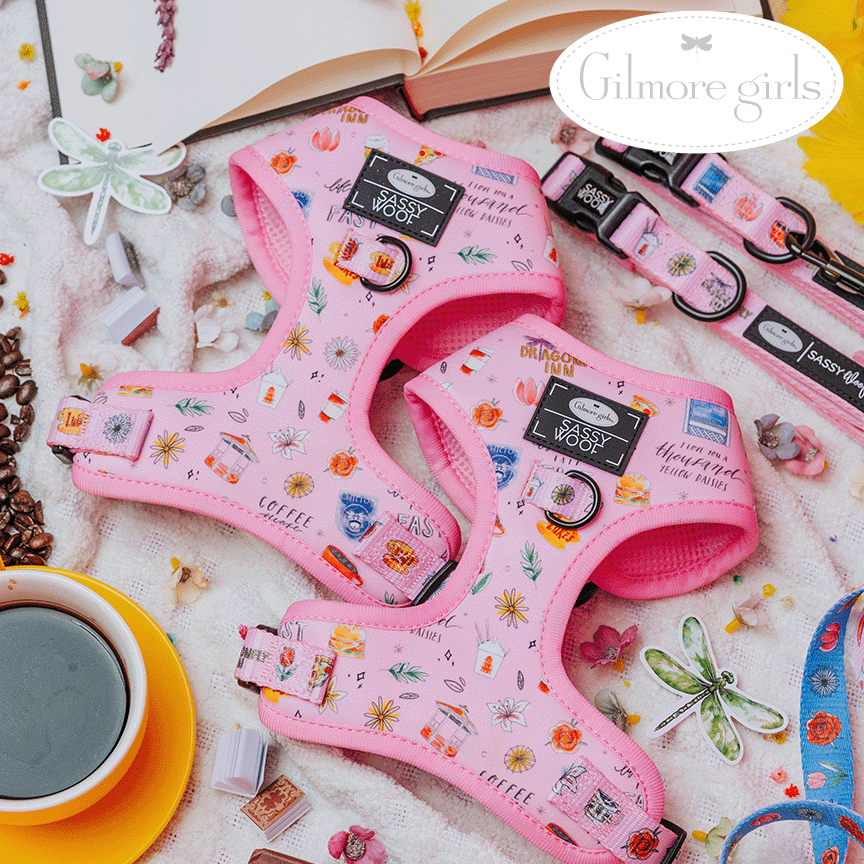 Pink dog harnesses with floral patterns on a textured surface with 'Gilmore Girls' branding.