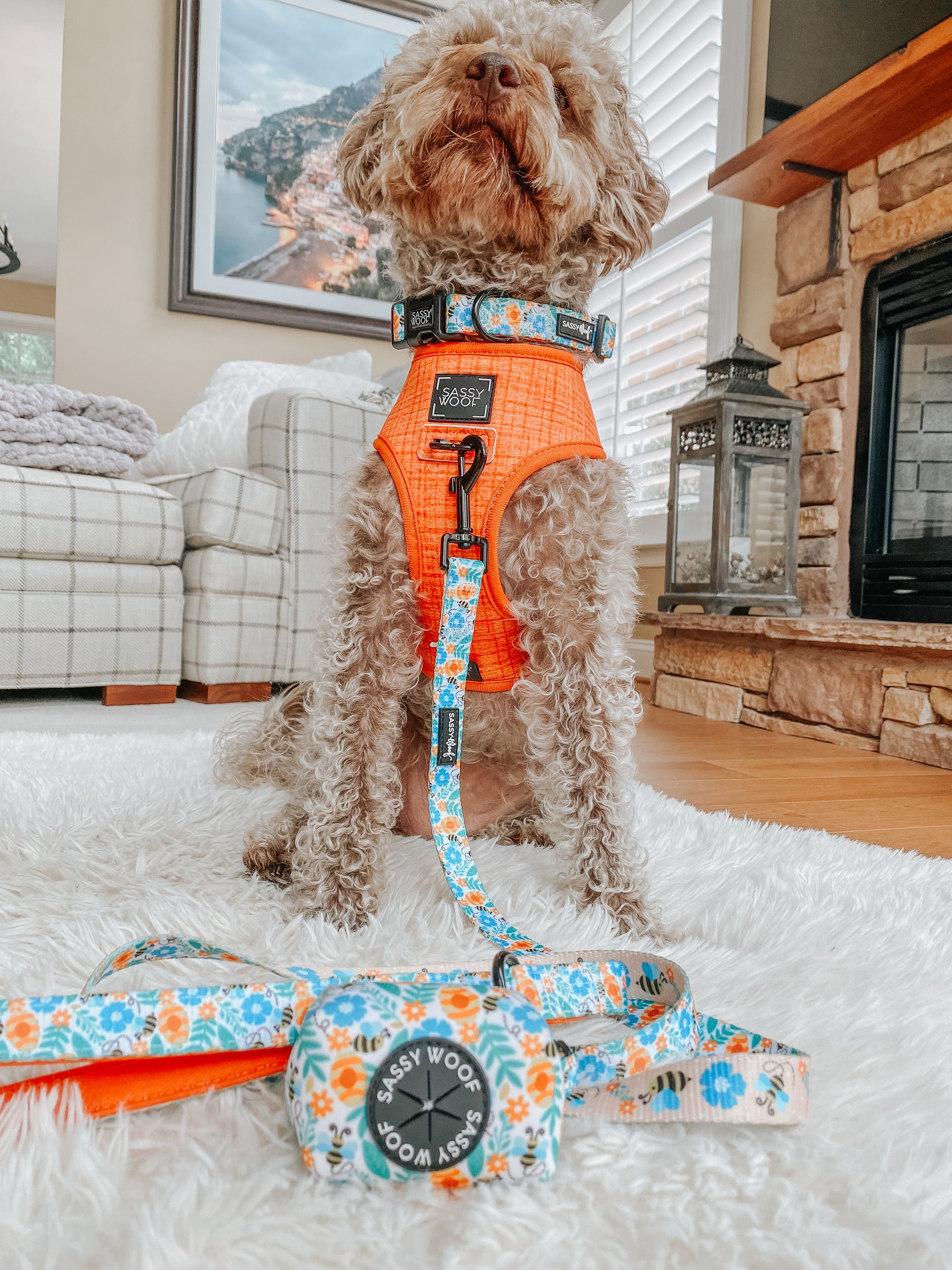 INFLUENCER_CONTENT | @HARPERTHECHOCOLATEDOODLE | SIZE M & M