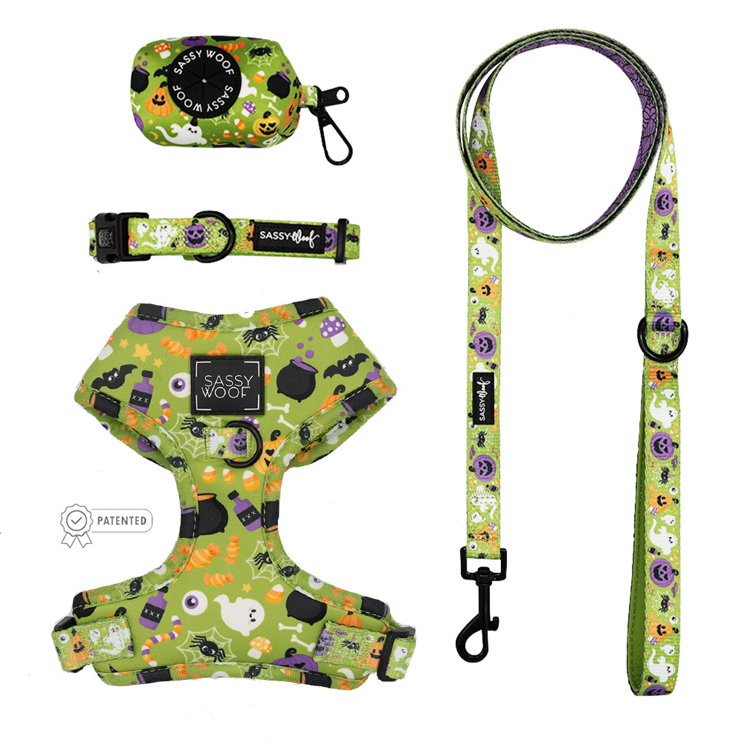 Dog Bundle - Haunt Mess