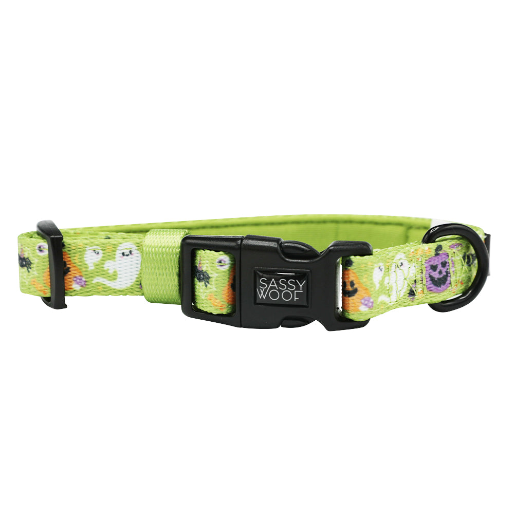 Dog Collar - Haunt Mess