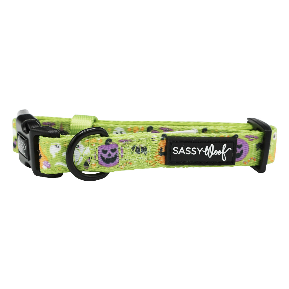 Dog Bundle - Haunt Mess