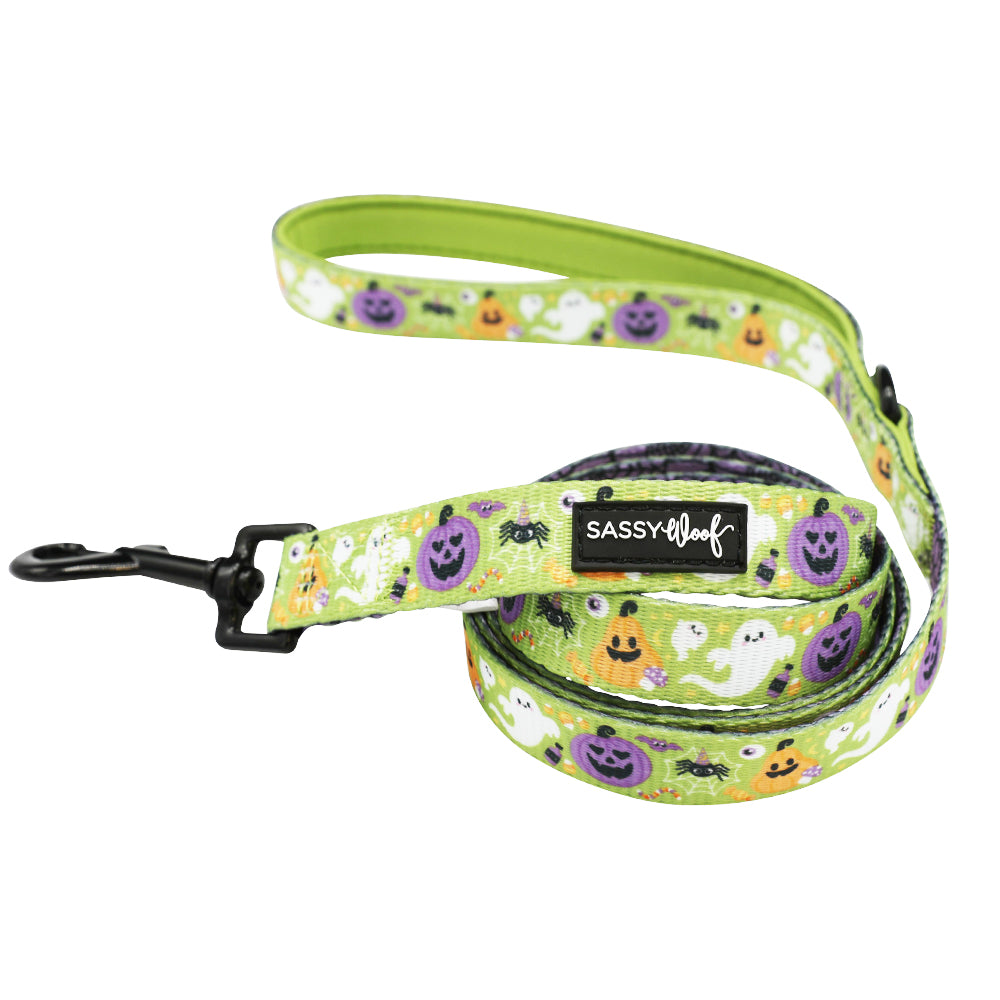 Dog Bundle - Haunt Mess