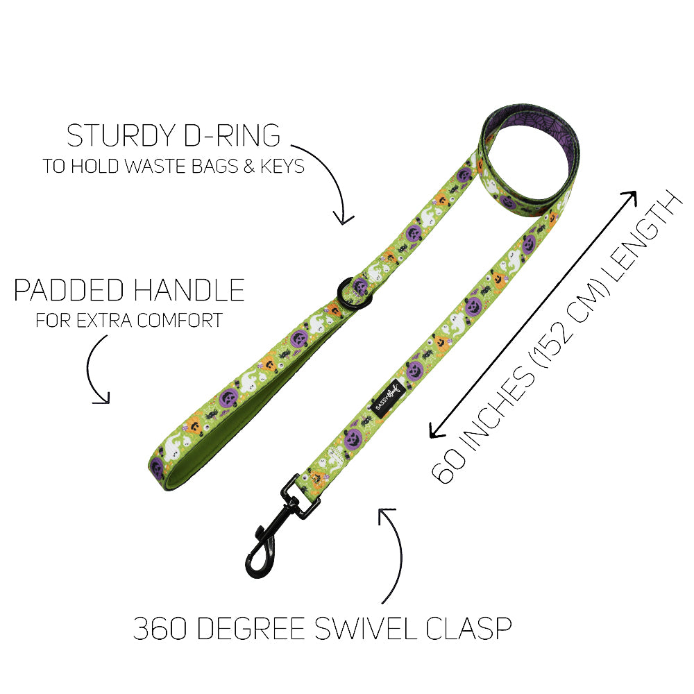 Dog Leash - Haunt Mess