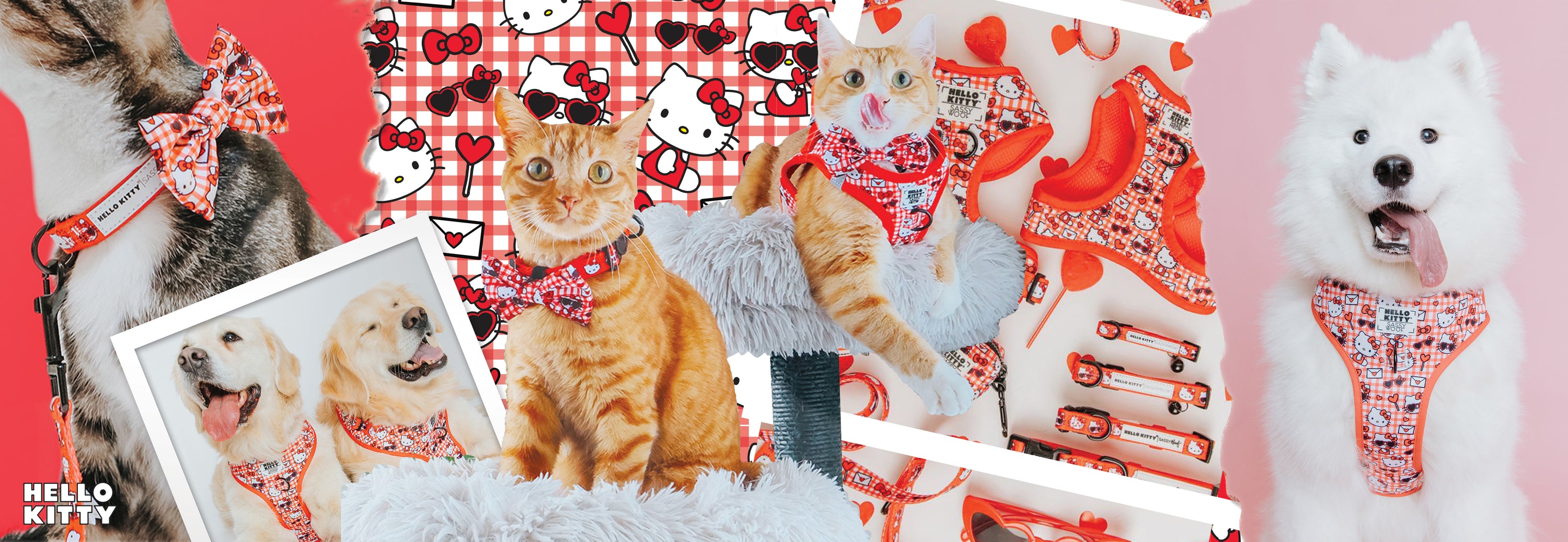 A collage of cats and dogs wearing red Hello Kitty-themed collars, bowties, and harnesses, with a matching patterned background and pet accessories. The Hello Kitty logo appears in the lower left corner.