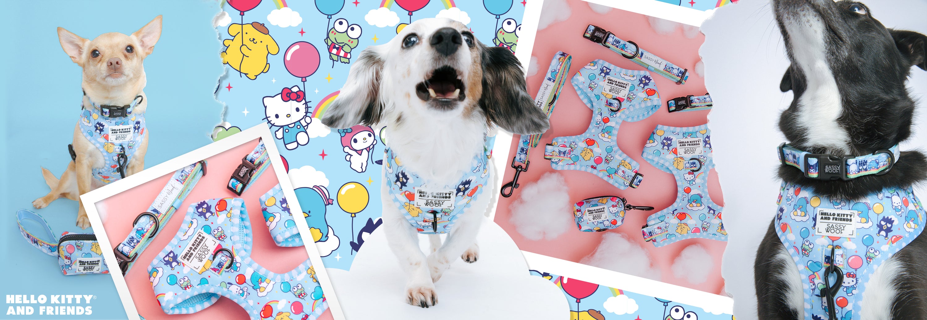 A collage featuring dogs wearing blue Hello Kitty and Friends-themed harnesses and accessories, with matching leashes and bowties. The background includes cartoon clouds, balloons, and Hello Kitty characters.