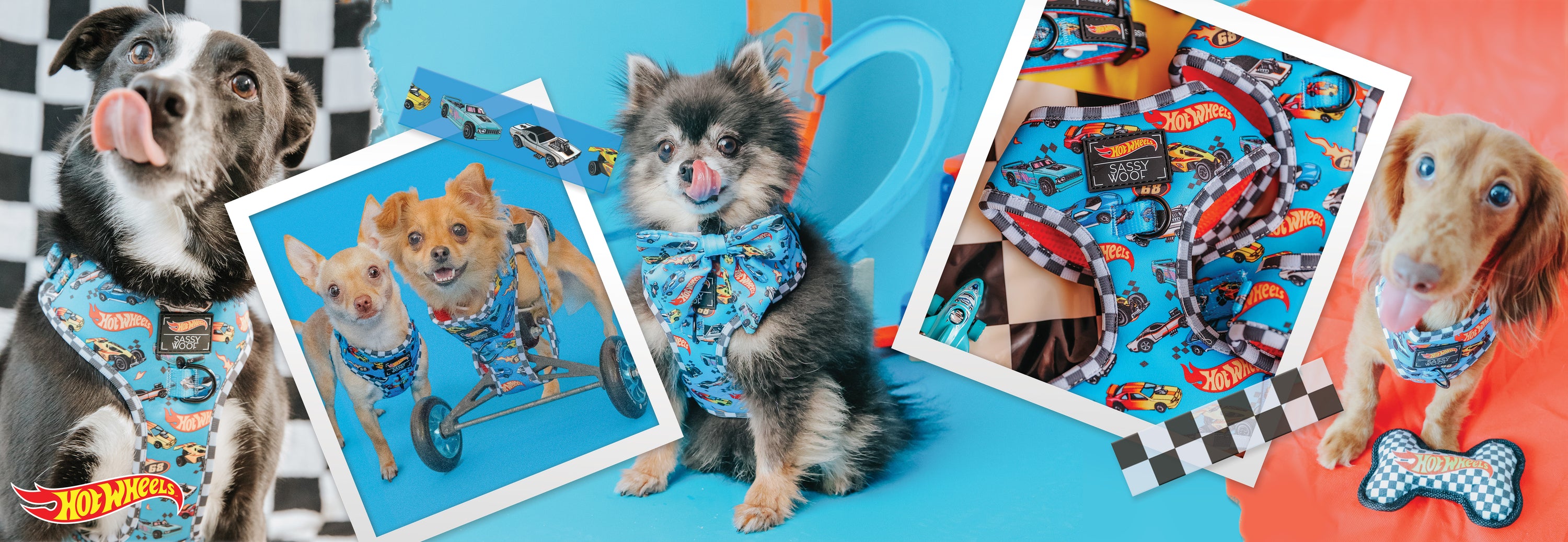 Four dogs wearing matching blue Hot Wheels-themed accessories, including harnesses and bow ties, are shown in playful poses with racing props and toy cars against orange and blue backgrounds. Hot Wheels logo is visible.
