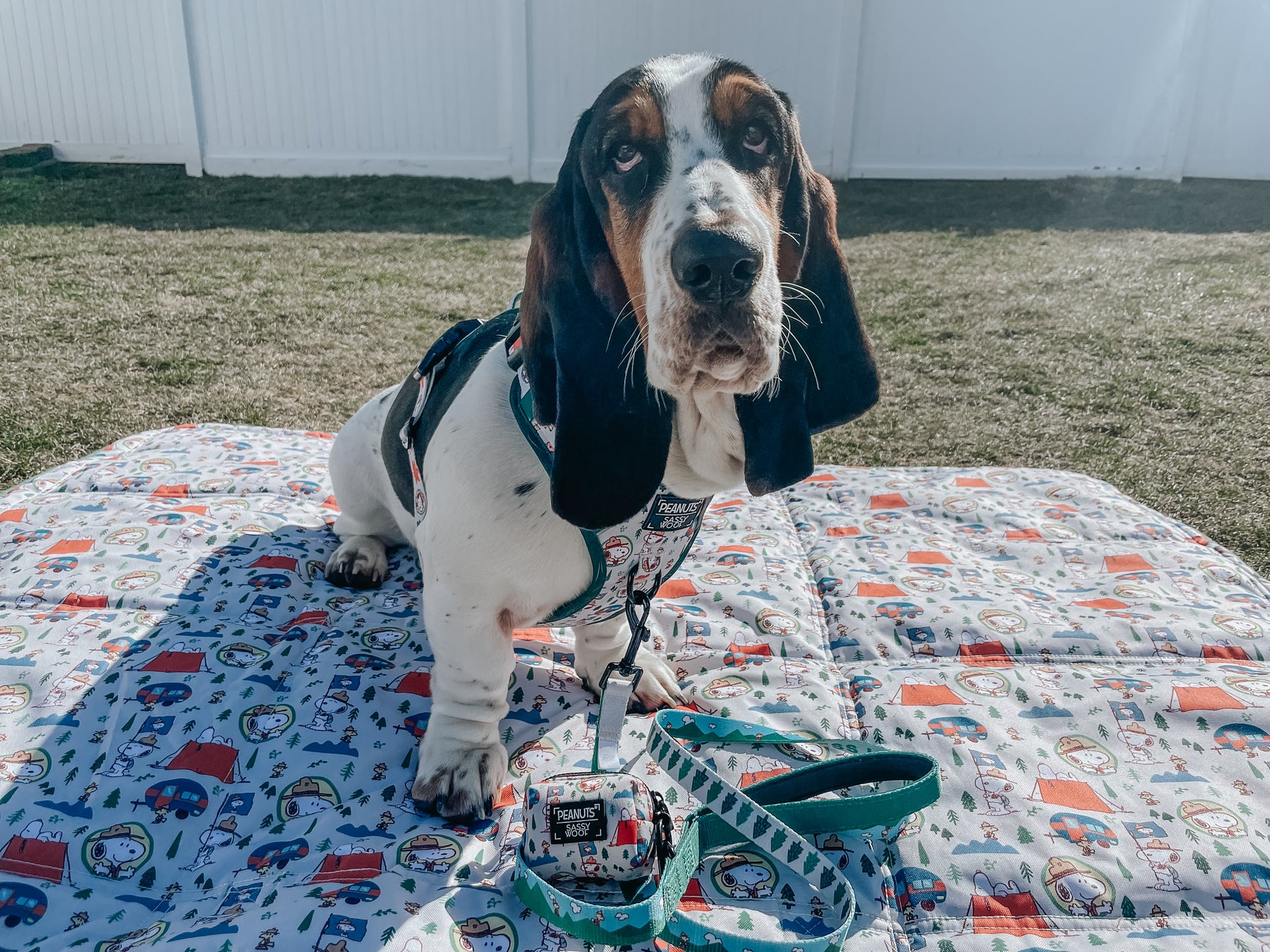 INFLUENCER_CONTENT | @IMCHUCKBASSET