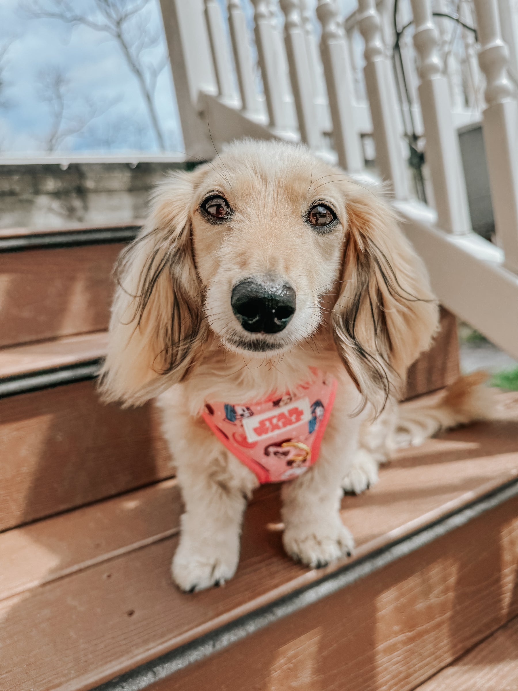 INFLUENCER_CONTENT | @ITSLUCYTHEDOXIE | SIZE XS
