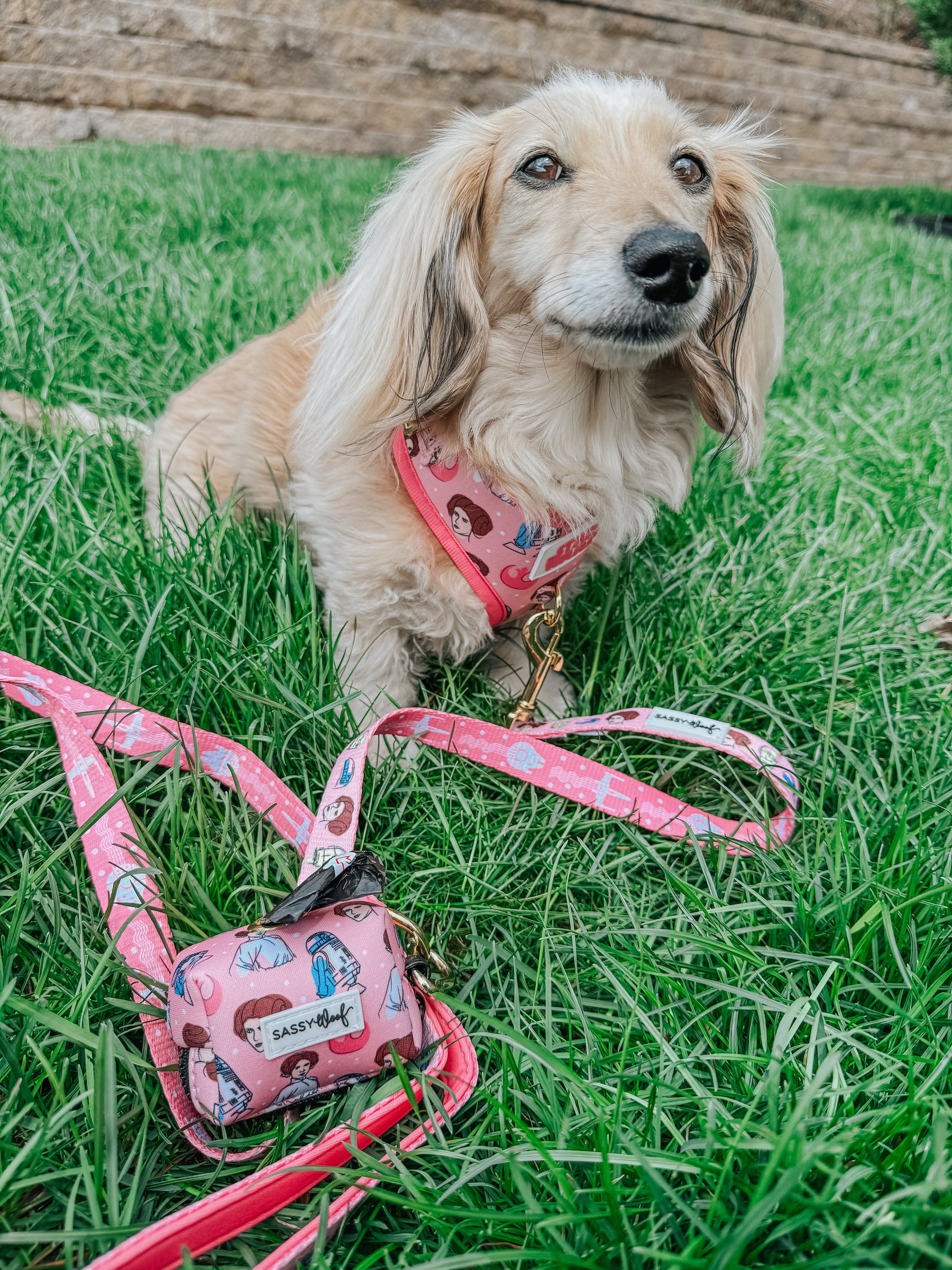 INFLUENCER_CONTENT | @ITSLUCYTHEDOXIE