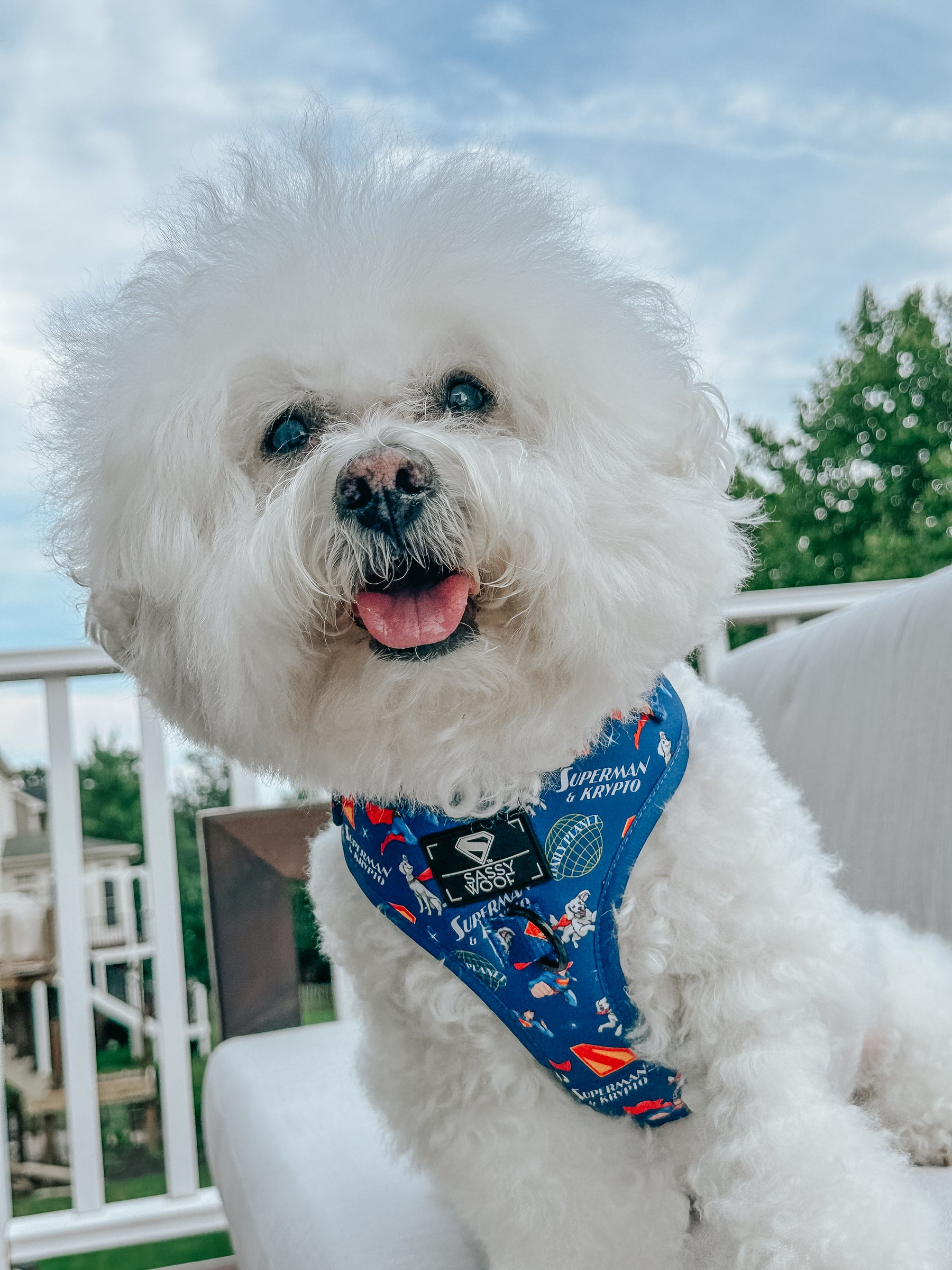 INFLUENCER_CONTENT | @KRISPYKREMETHEBICHON | SIZE S