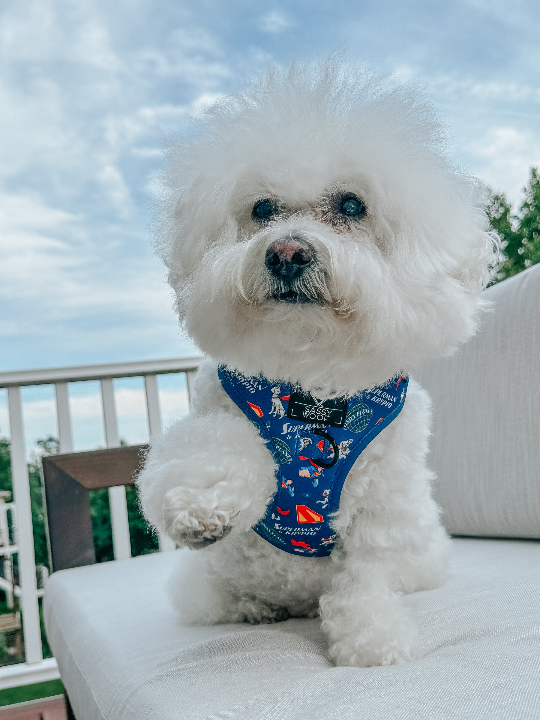 INFLUENCER_CONTENT | @KRISPYKREMETHEBICHON | SIZE S