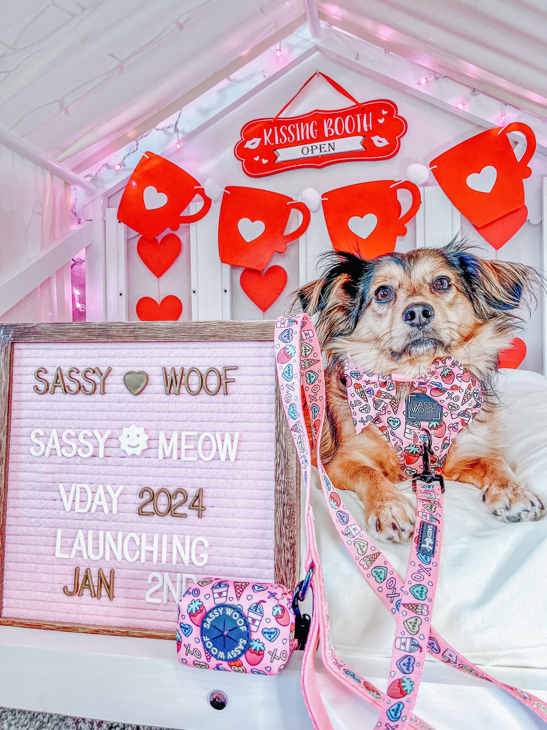 INFLUENCER_CONTENT | @LIFE.AS.CHANEL