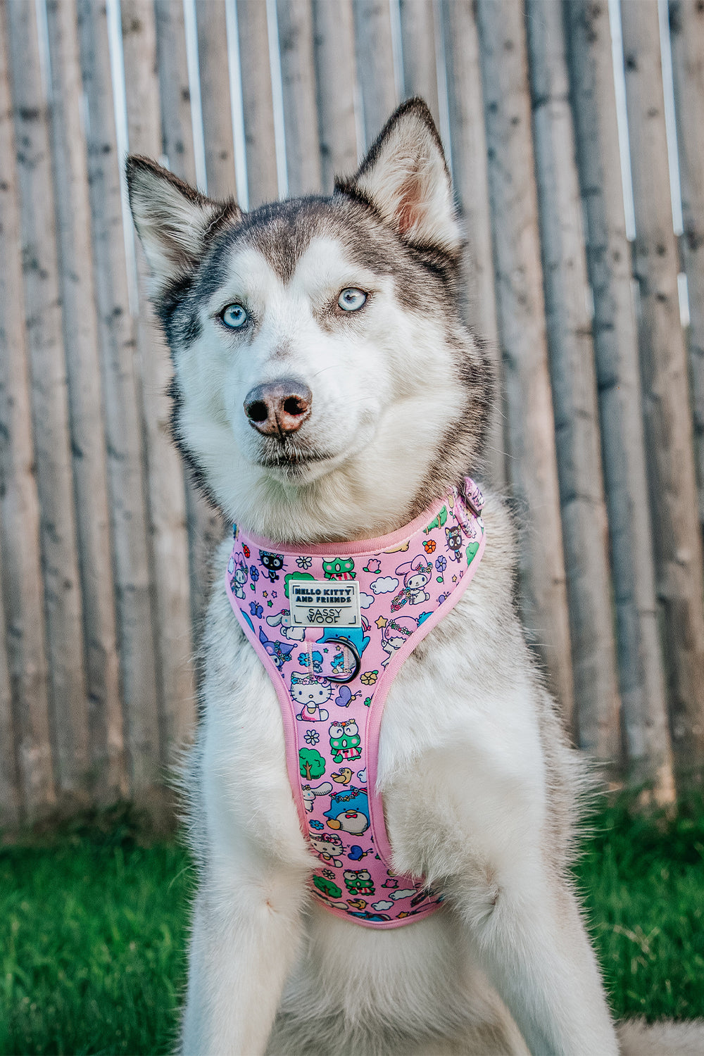 INFLUENCER_CONTENT | @LILLY_CLOVER_HUSKY | SIZE XL