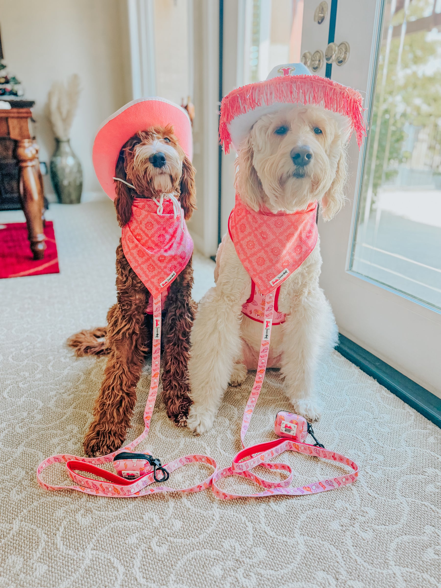 INFLUENCER_CONTENT | @LUCYLU_PAWSITIVEPUP | SIZE M,L