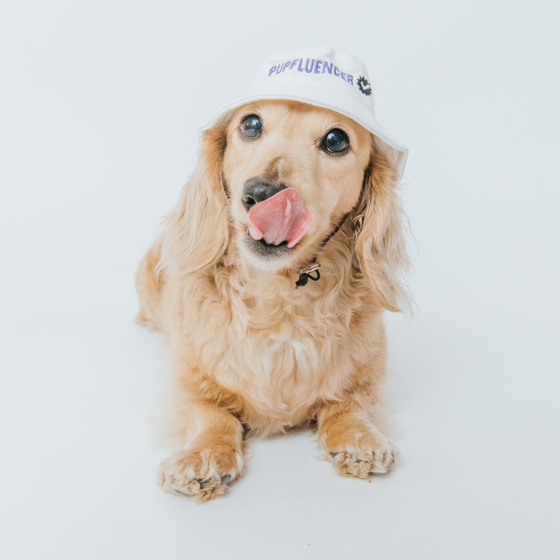 Bucket Hat Bundle - Momager + Pupfluencer