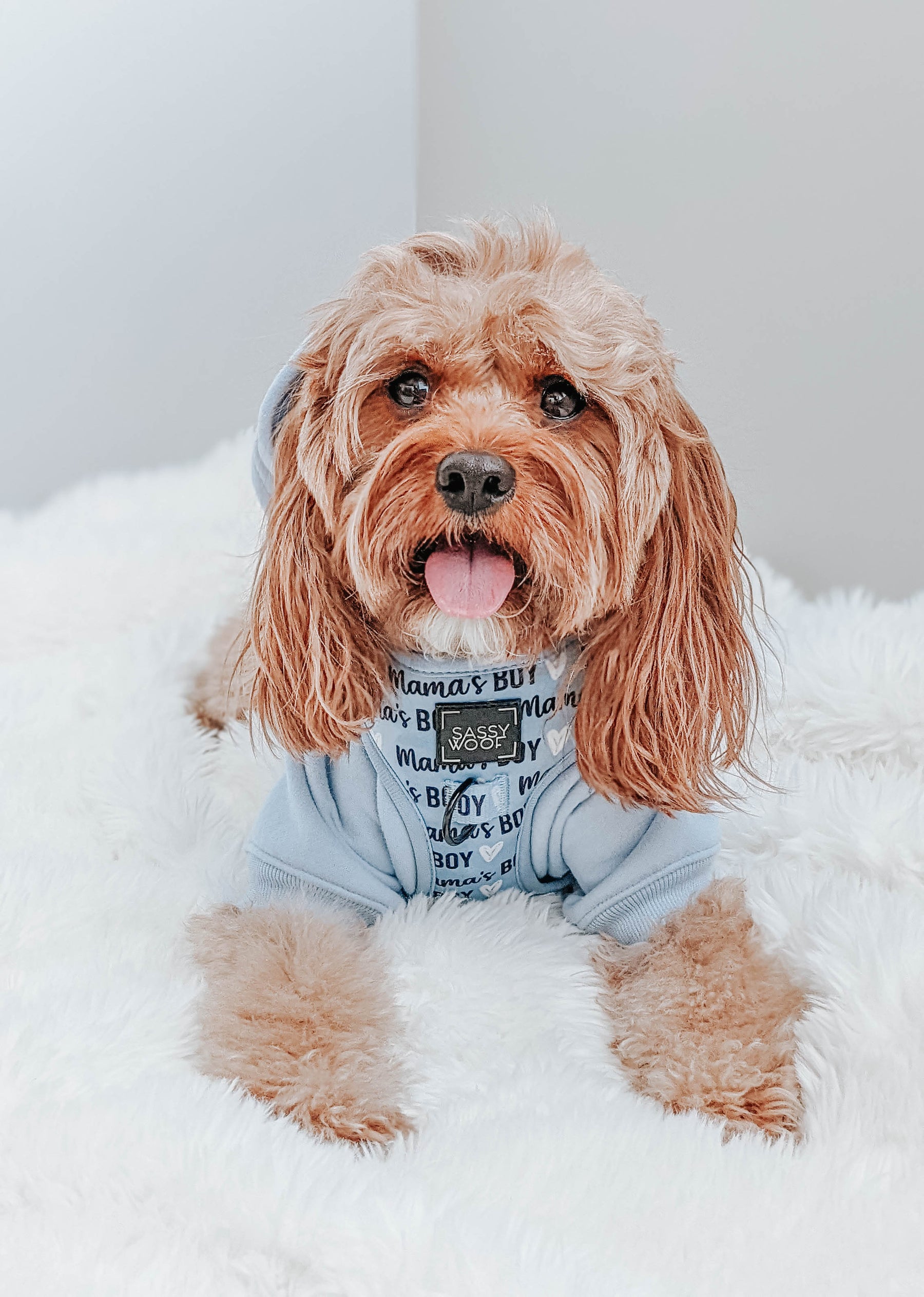INFLUENCER_CONTENT | @SIT_OLLIE_SIT | SIZE S