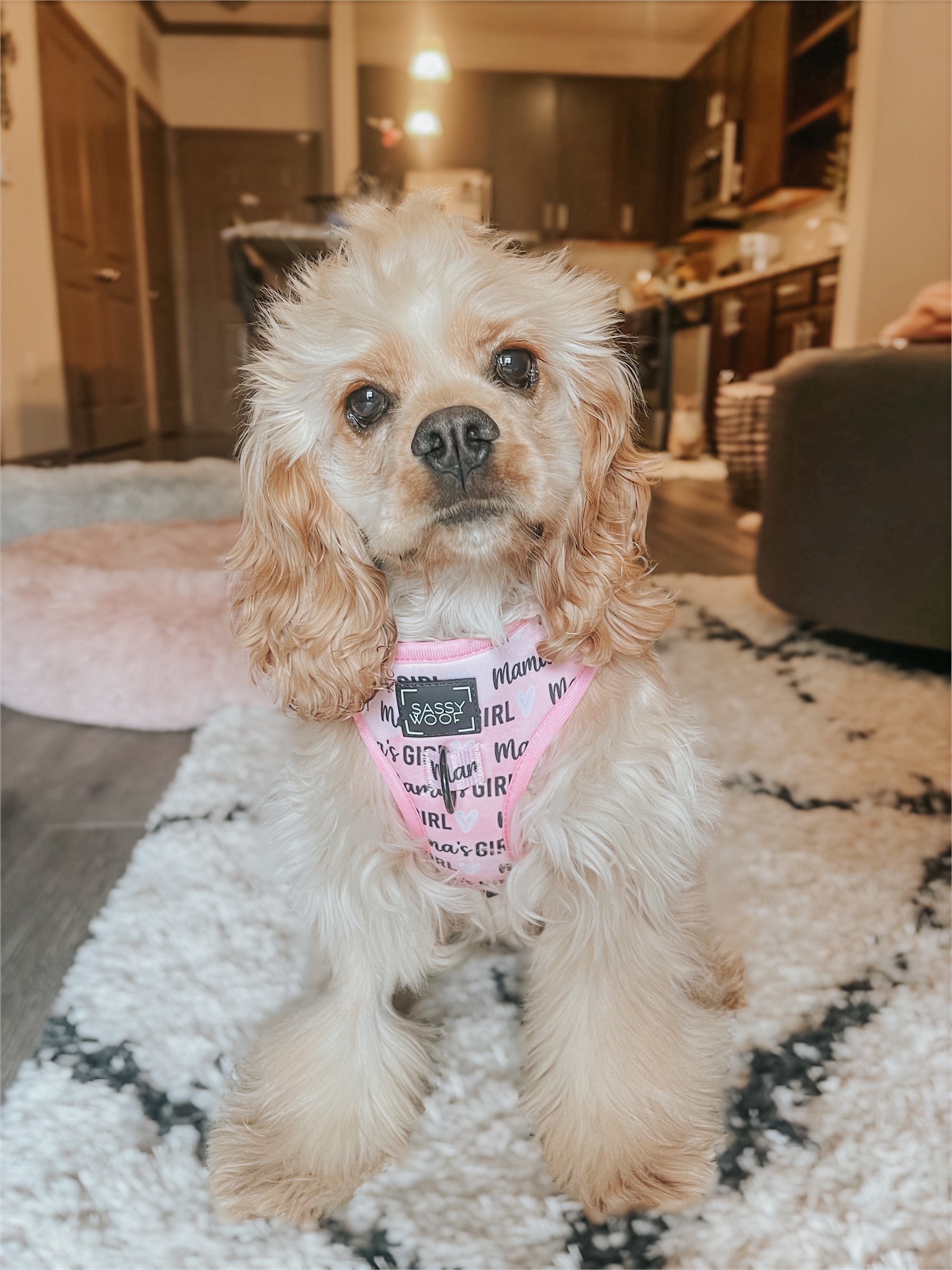 INFLUENCER_CONTENT | @PAISLEYRAE_THECOCKER | SIZE XS