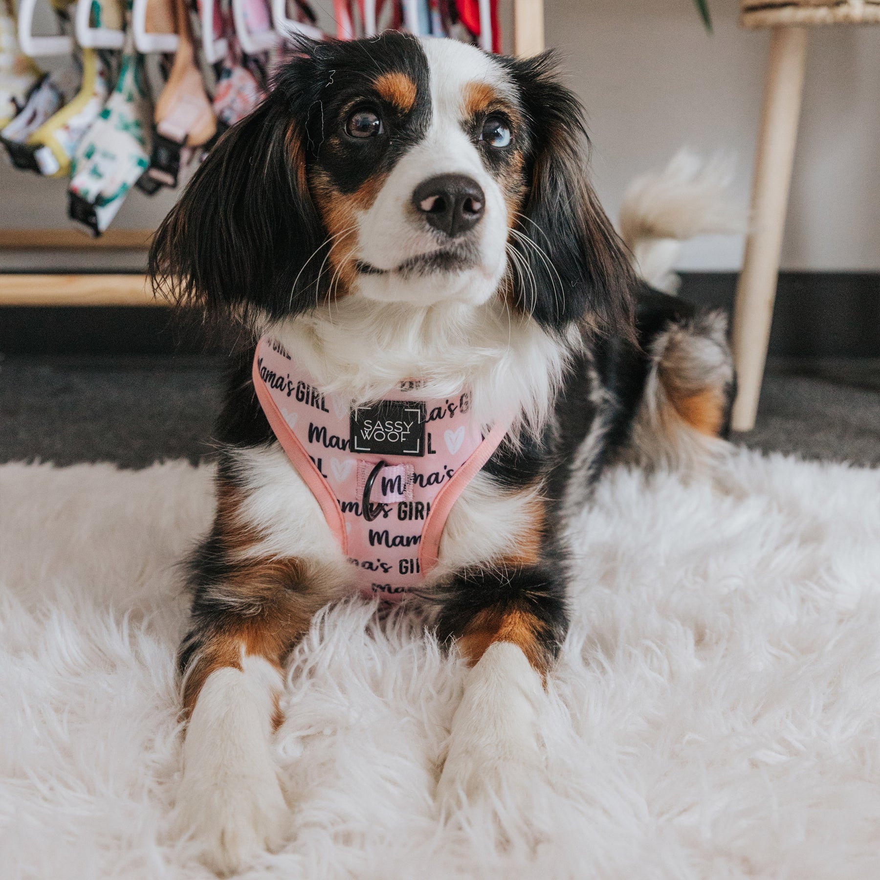 INFLUENCER_CONTENT | POPPY_AND_SPROUT | SIZE S