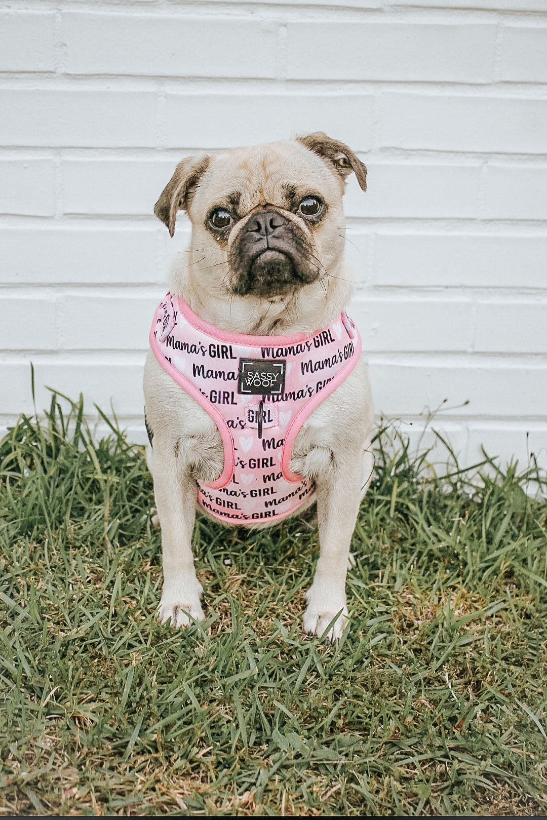 INFLUENCER_CONTENT | @LITTLEMISSYTHEPUG | SIZE M