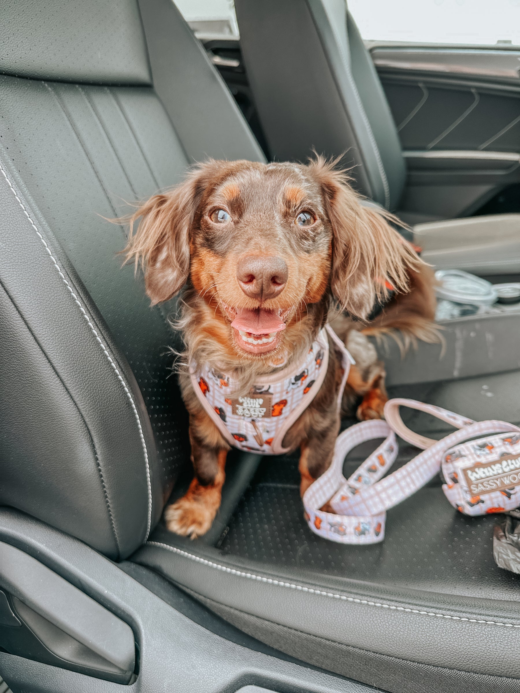 INFLUENCER_CONTENT | @MINIDOXBENNY | SIZE XS