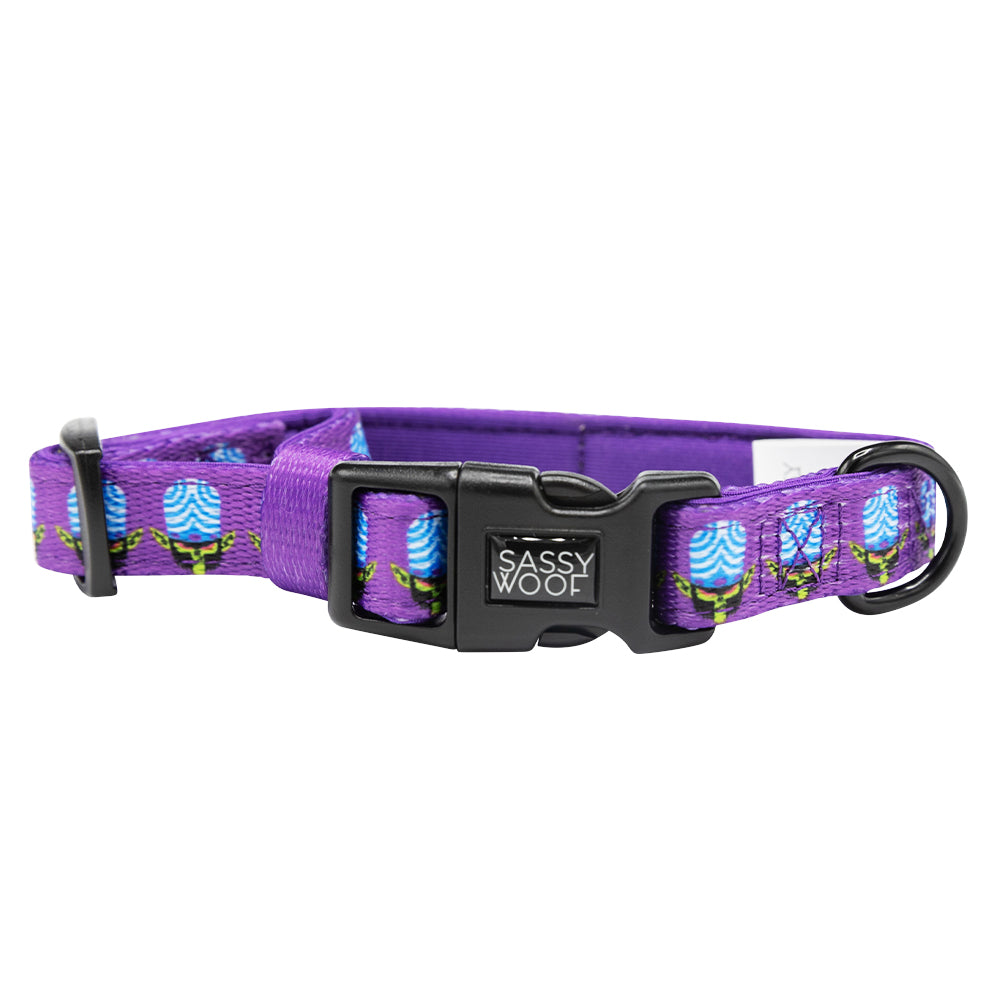 Collar Three Piece Bundle - Mojo Jojo™