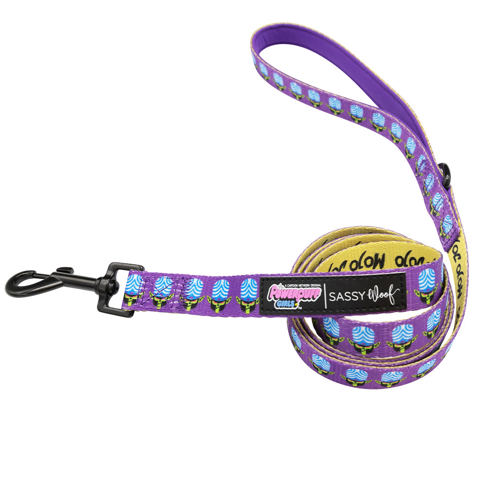 Dog Leash - Mojo Jojo™ | Sassy Woof Product