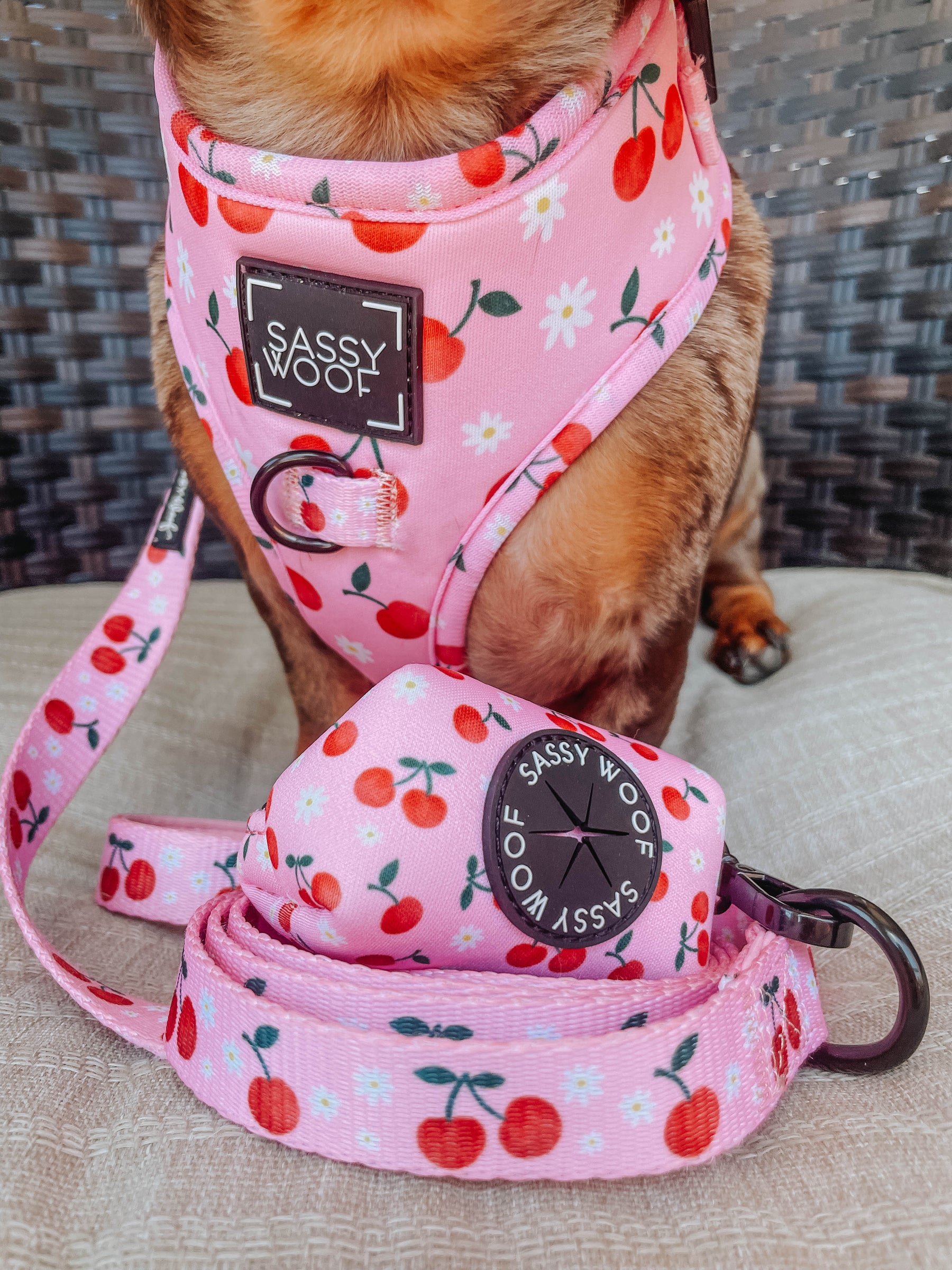 Dog Two Piece Bundle - Mon Chérry