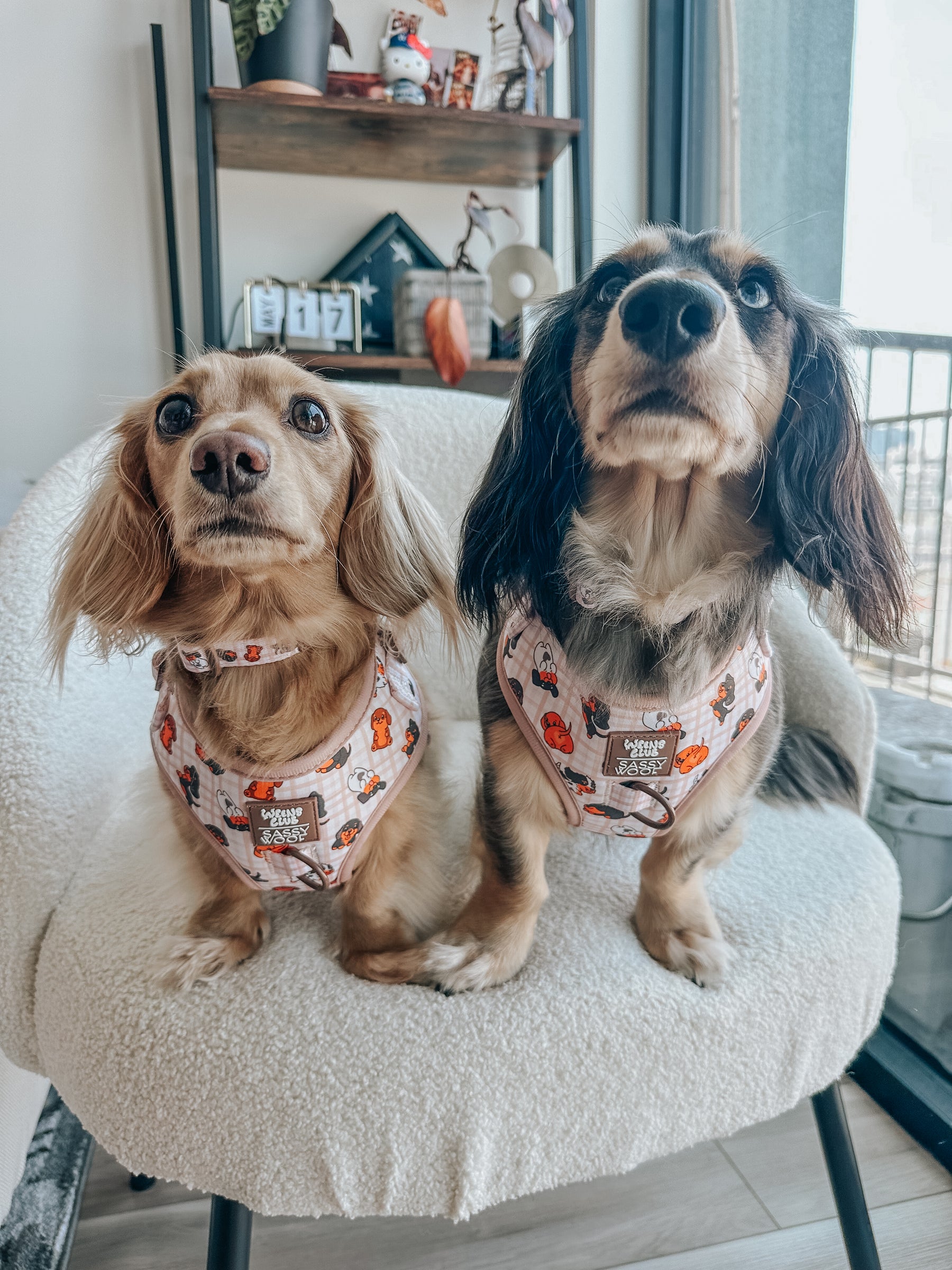 INFLUENCER_CONTENT | @MONTETHEDOXIE | Size S