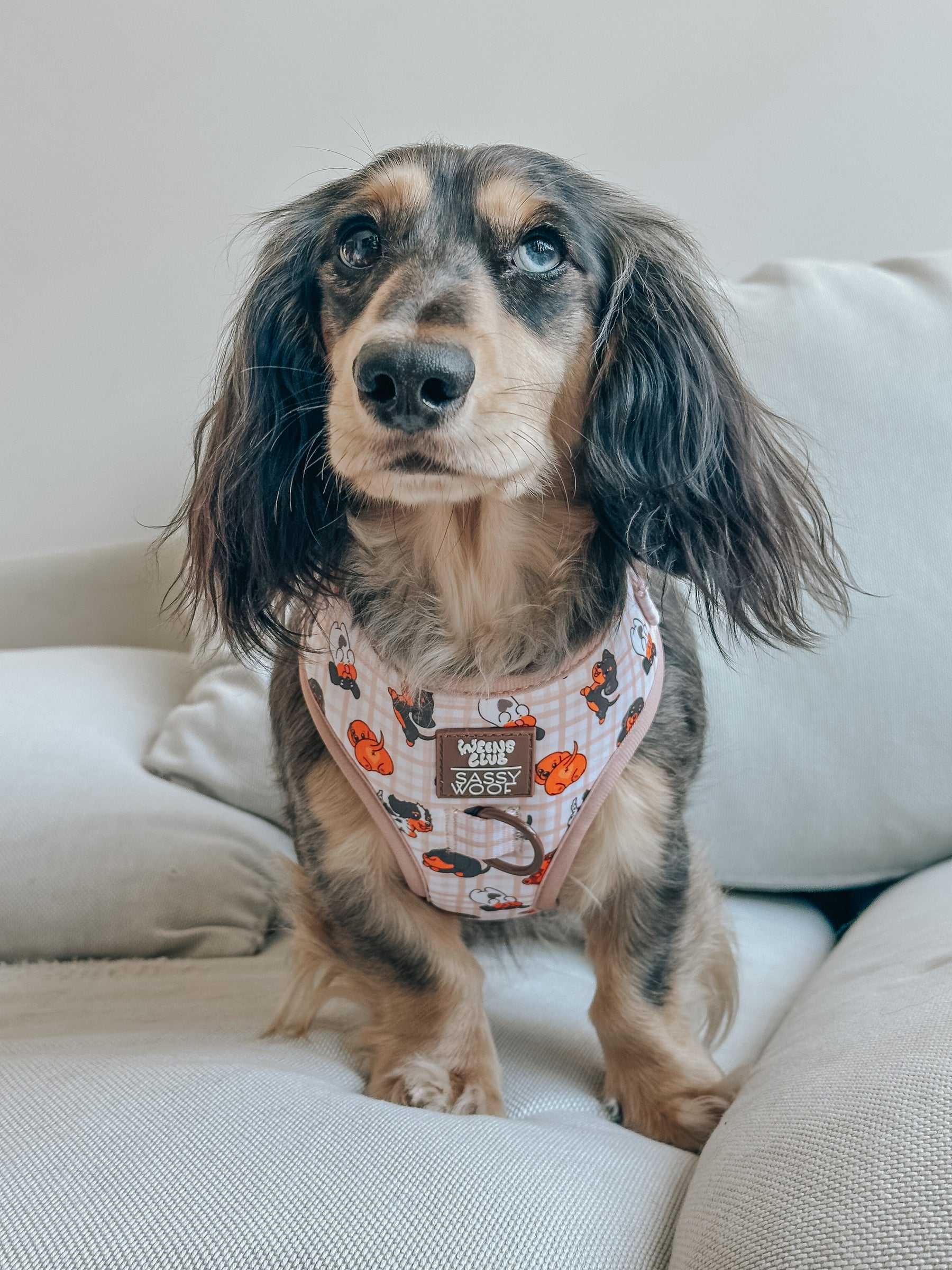 INFLUENCER_CONTENT | @MONTETHEDOXIE | SIZE S