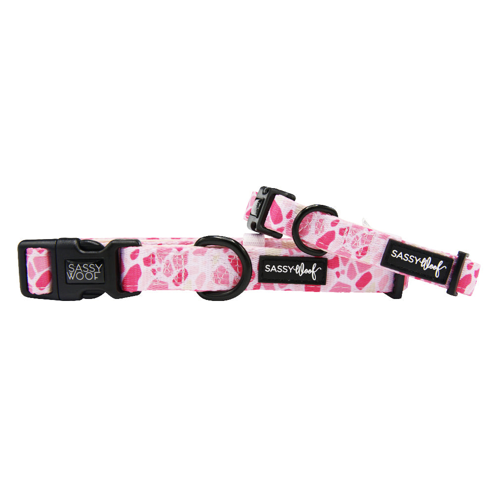 Dog Collar - Mykonos