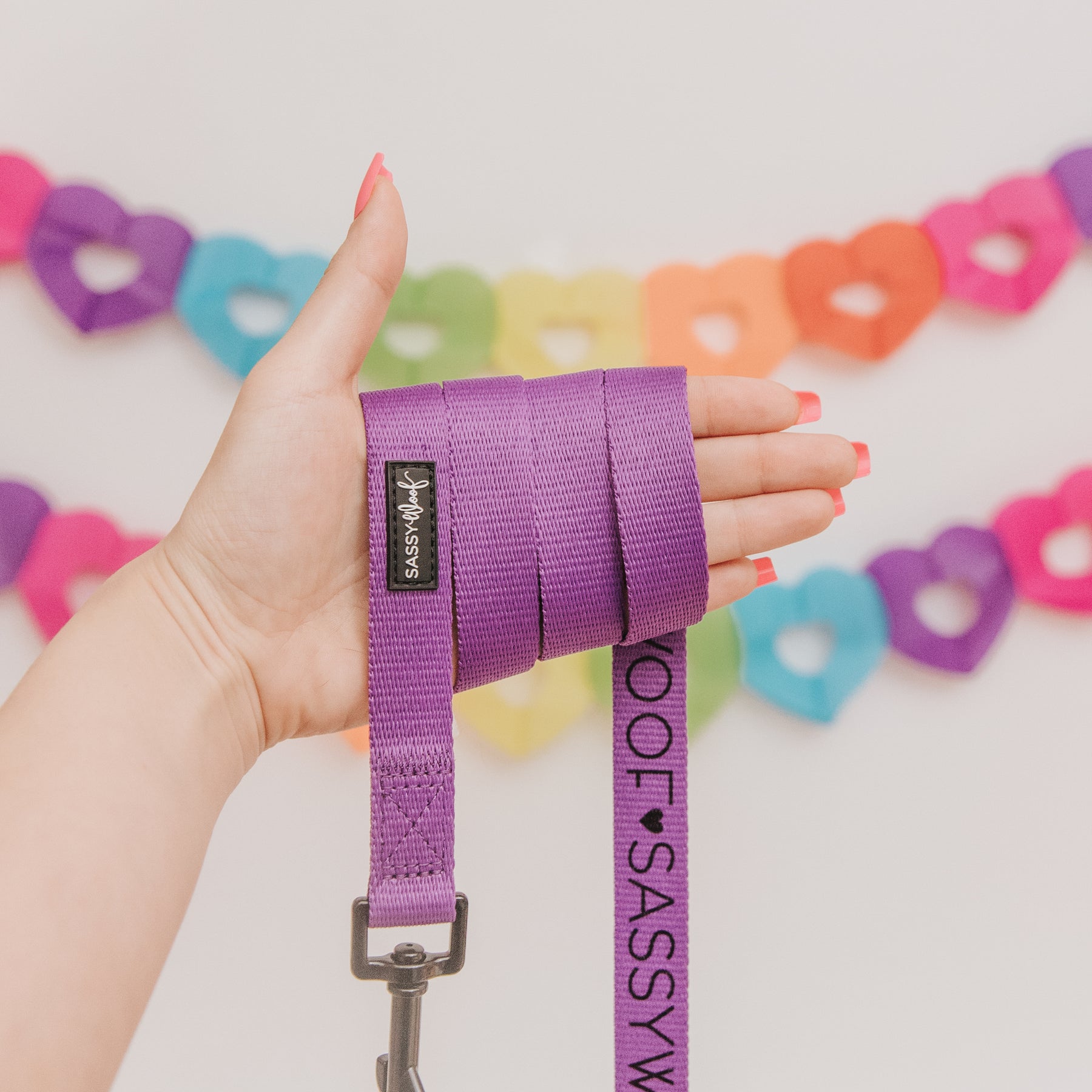 Dog Leash - Neon Purple