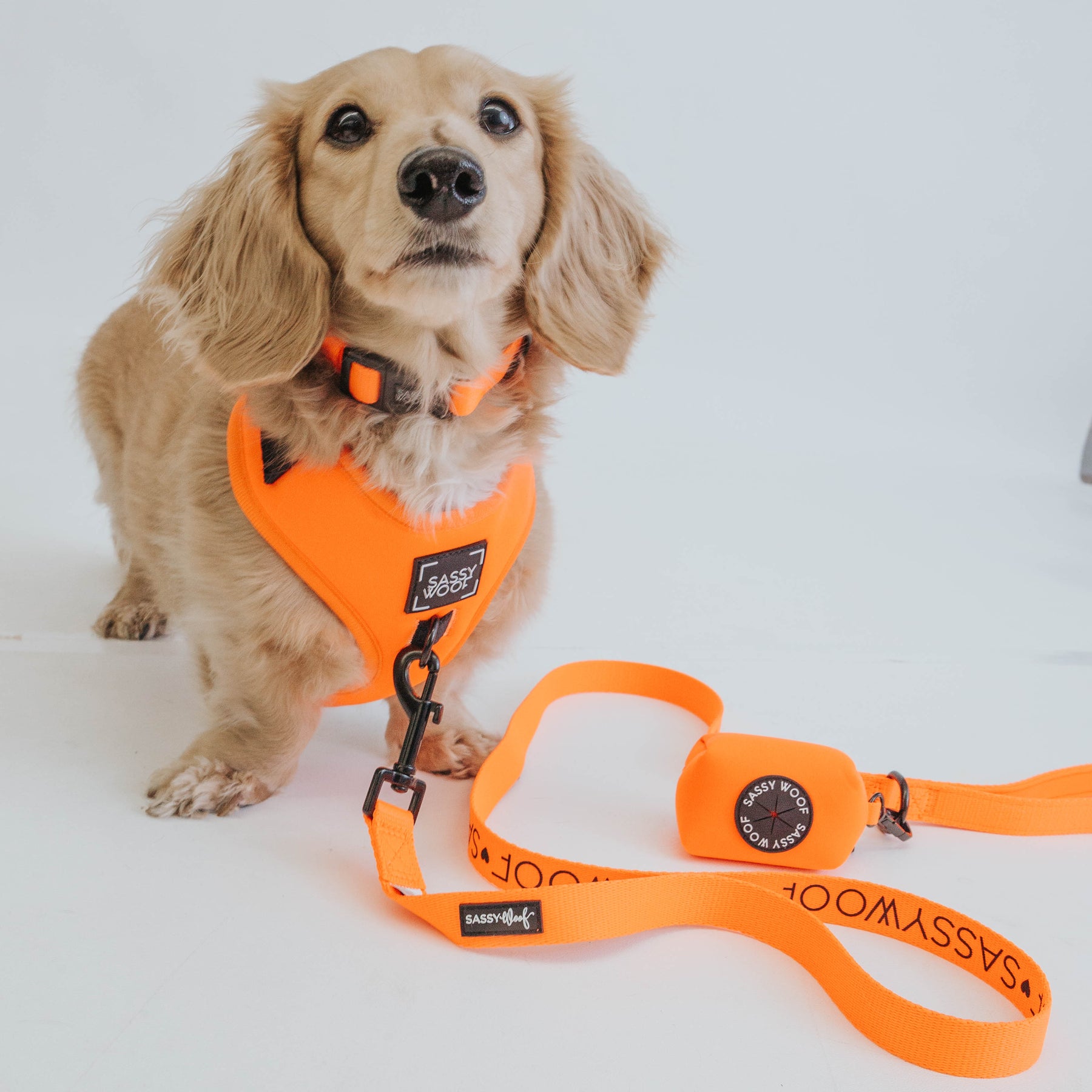 Dog Two Piece Bundle - Neon Orange