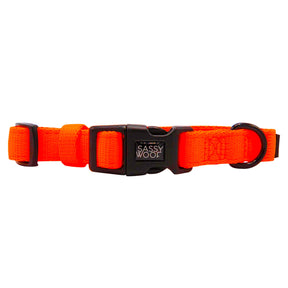 Collar Three Piece Bundle - Neon Orange