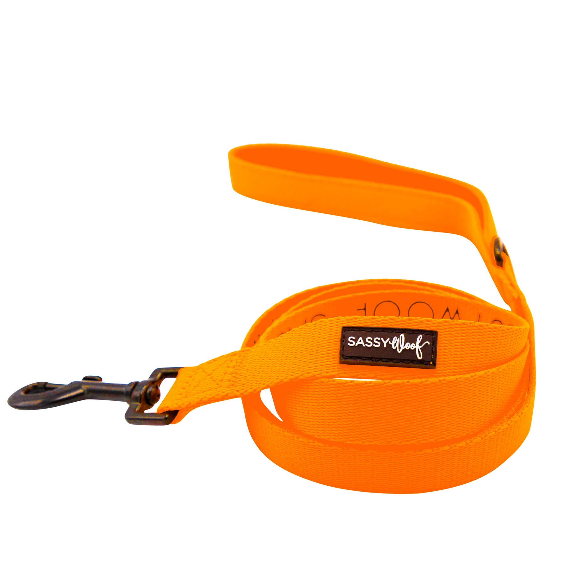 Dog Two Piece Bundle - Neon Orange