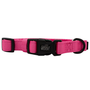 Collar Three Piece Bundle - Neon Pink