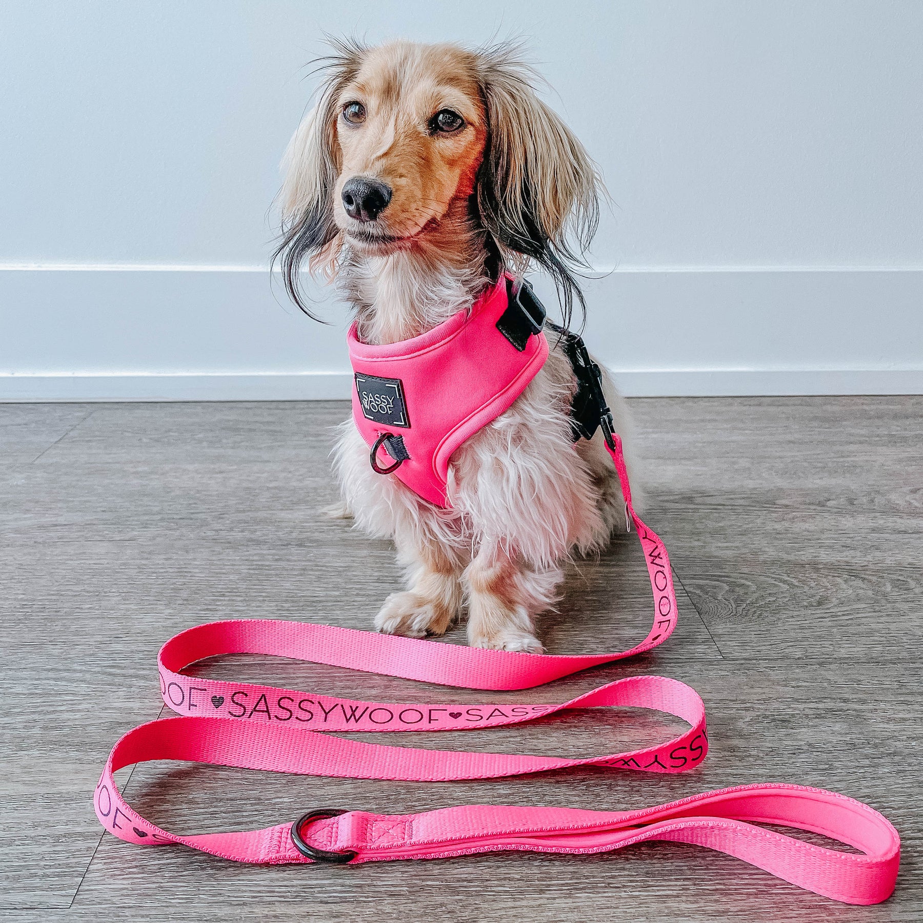 Dog Two Piece Bundle - Neon Pink