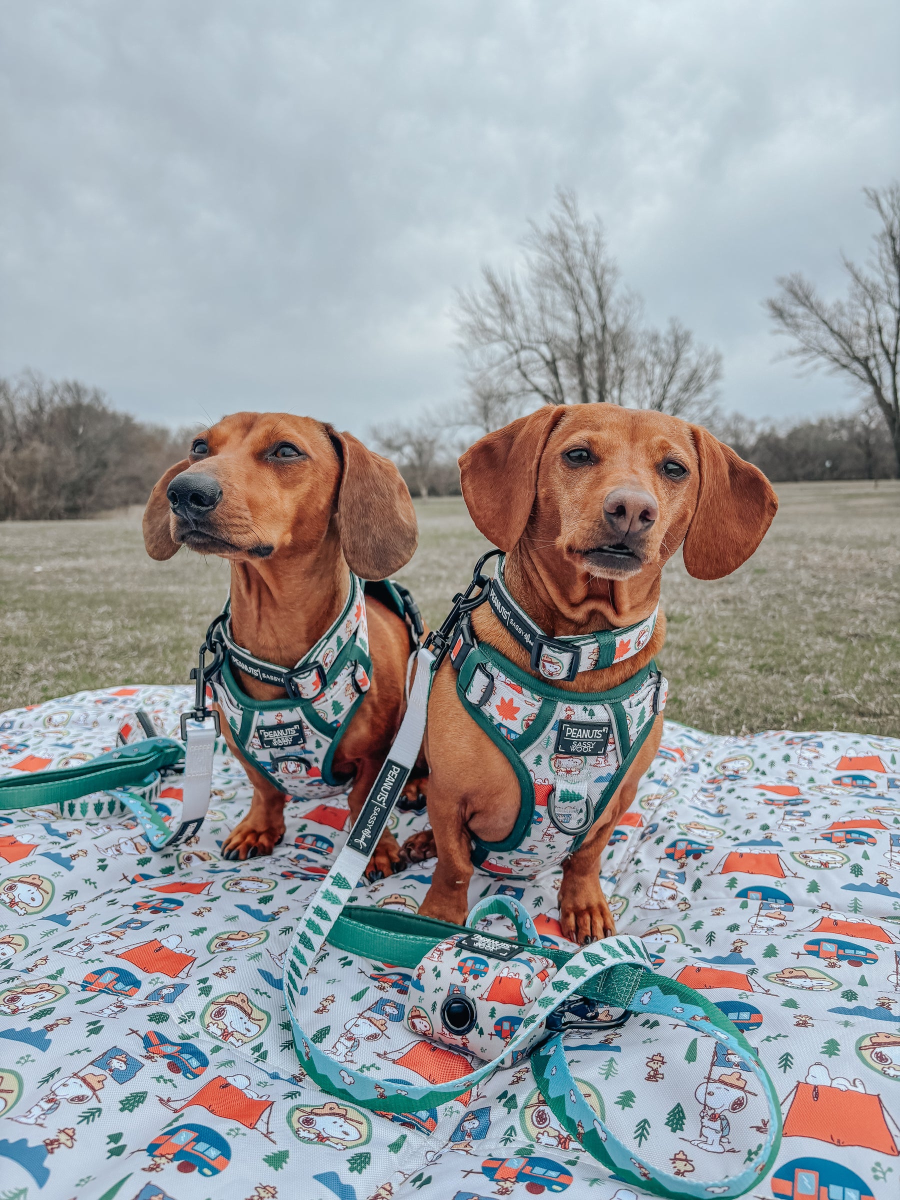 INFLUENCER_CONTENT | @NIKANDNYLA