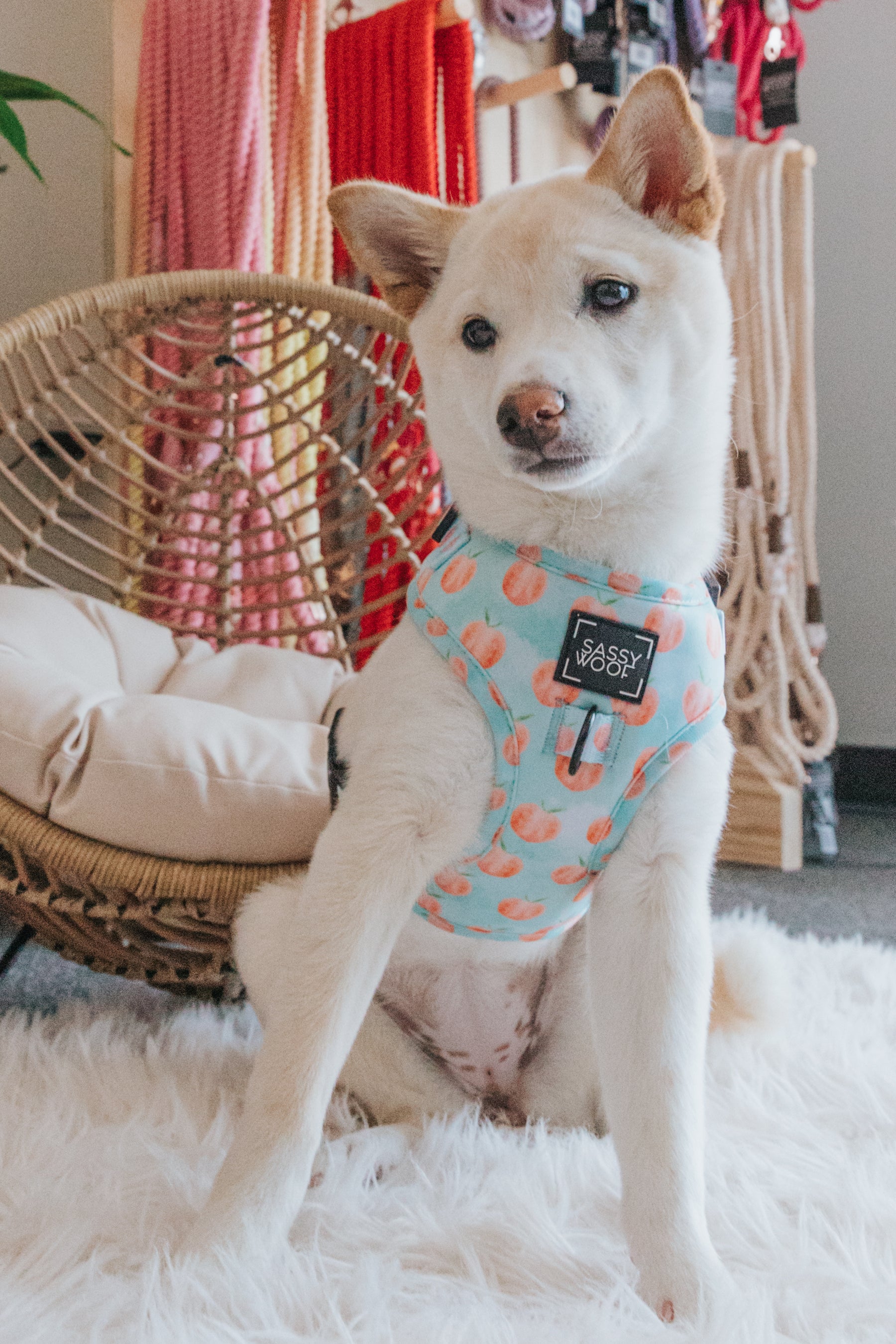 Dog Adjustable Harness - Peach Please