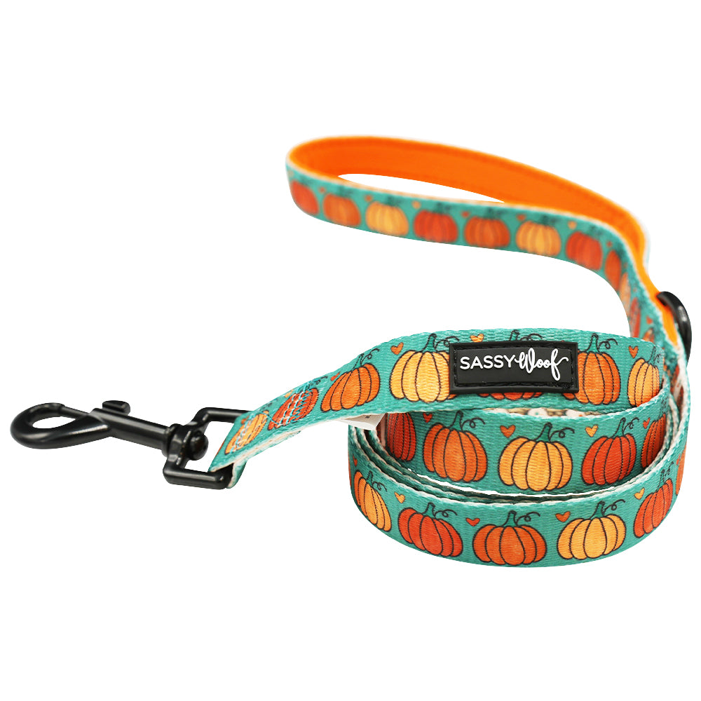 Dog Bundle - Pie There!