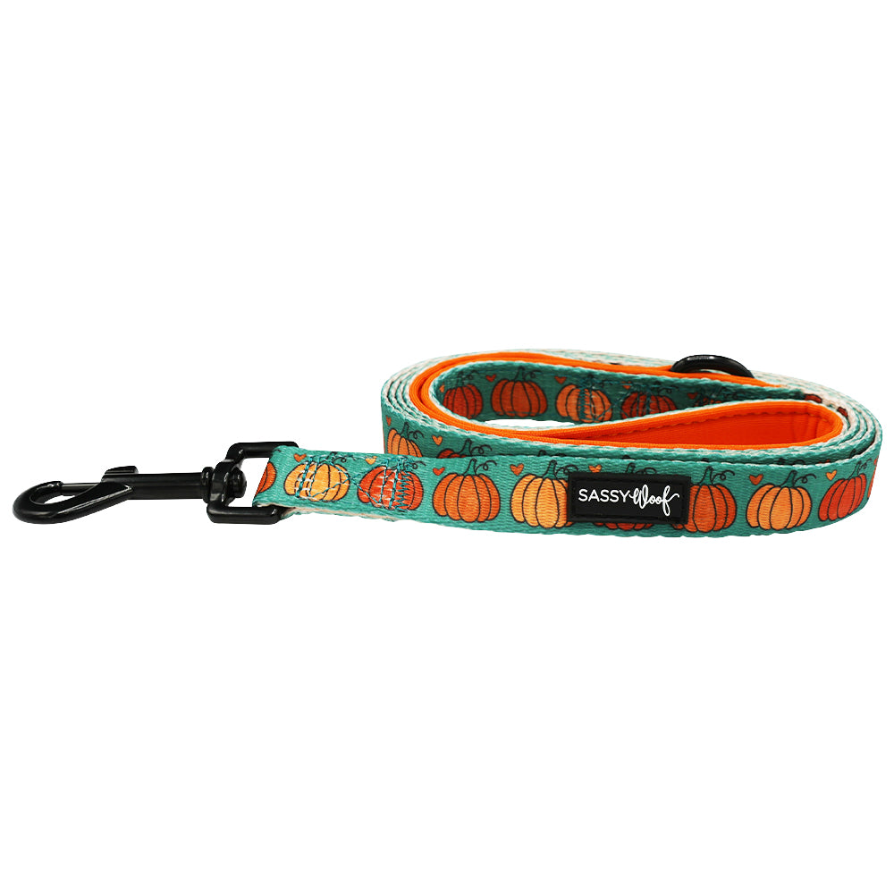 Dog Leash - Pie There!