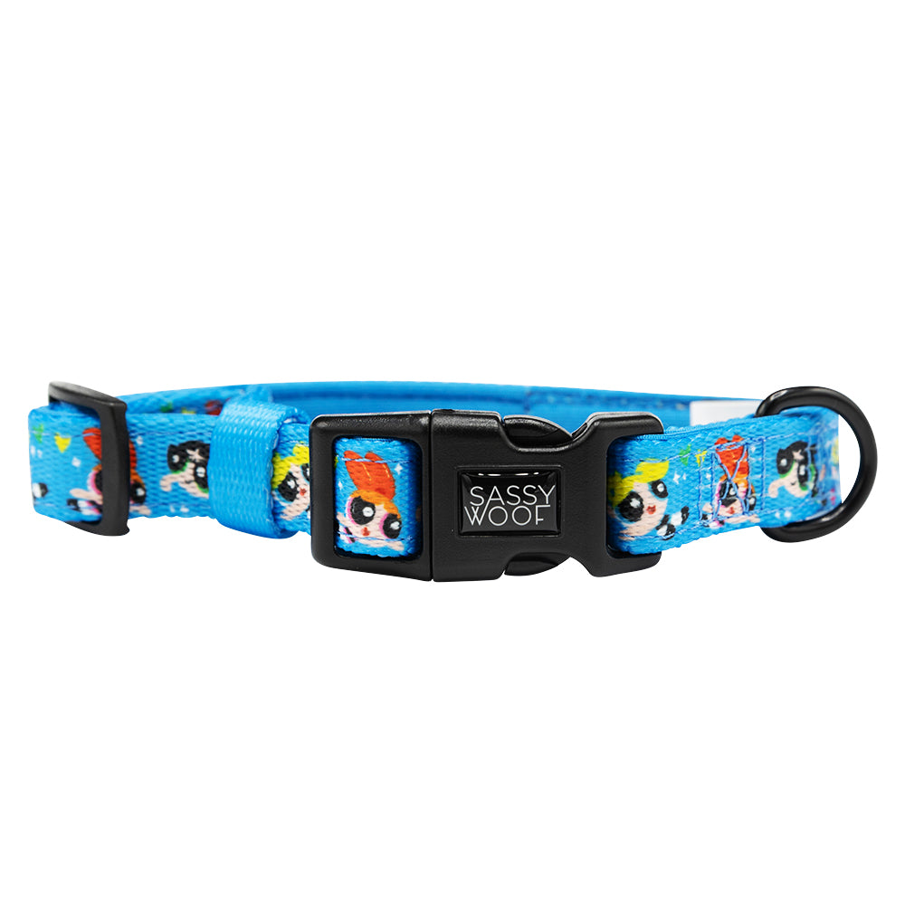 Dog Collar - The Powerpuff Girls™ (Blue)